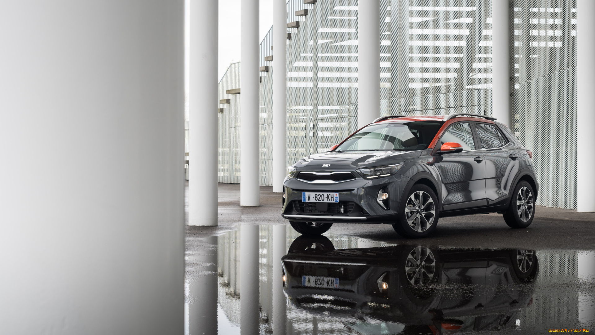 автомобили, kia