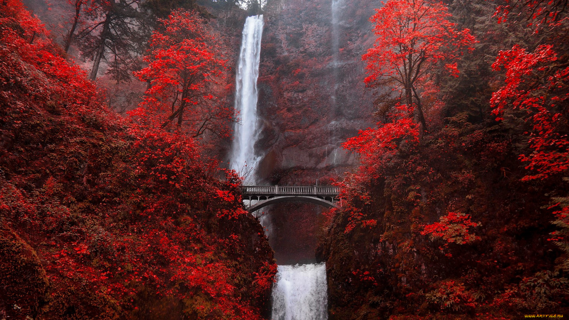 multnomah, falls, природа, водопады, multnomah, falls, деревья, полнолуние, мост, горы, растения, скалы, вода, водопад, малтнома, oрегон, cша