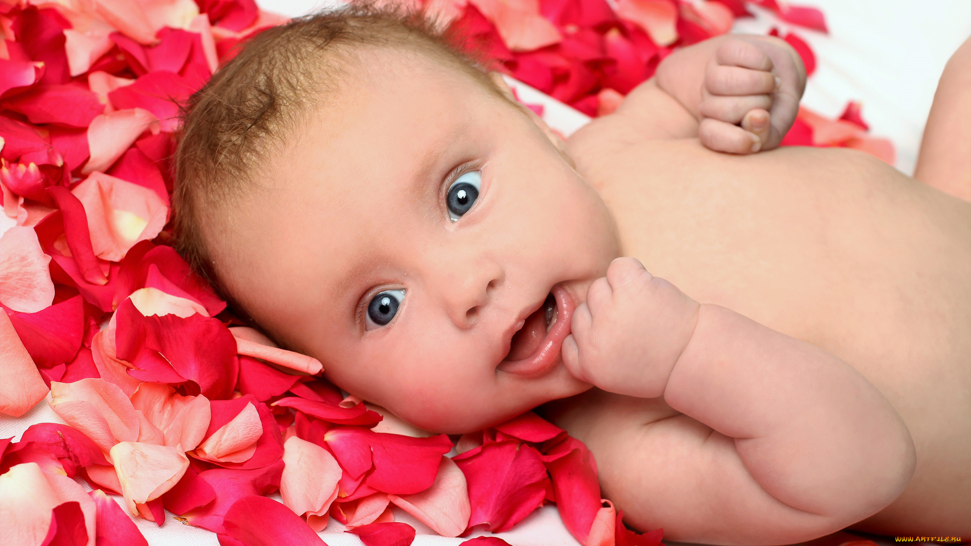 разное, дети, ребенок, лепестки