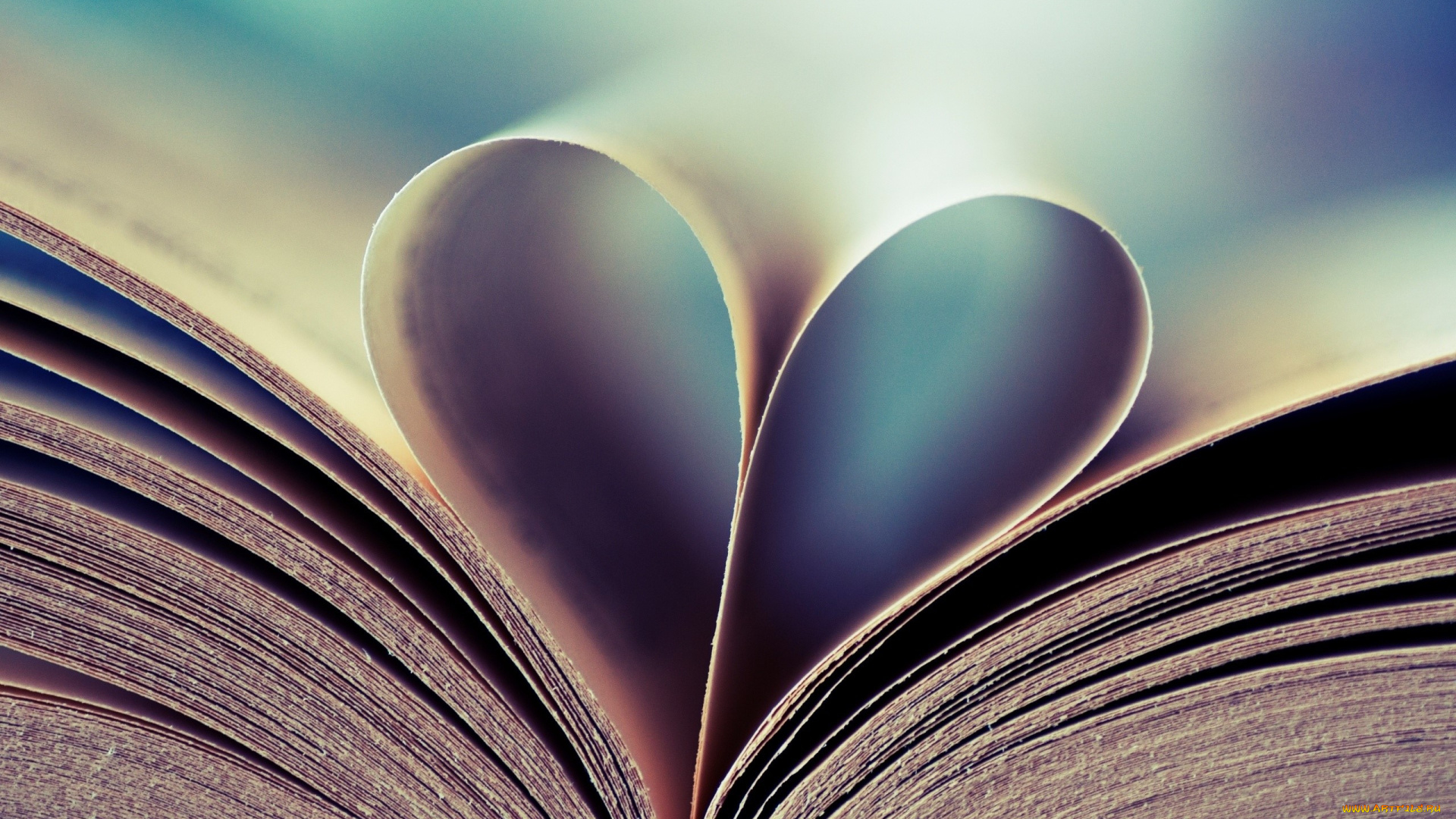 разное, канцелярия, , книги, книга, страницы