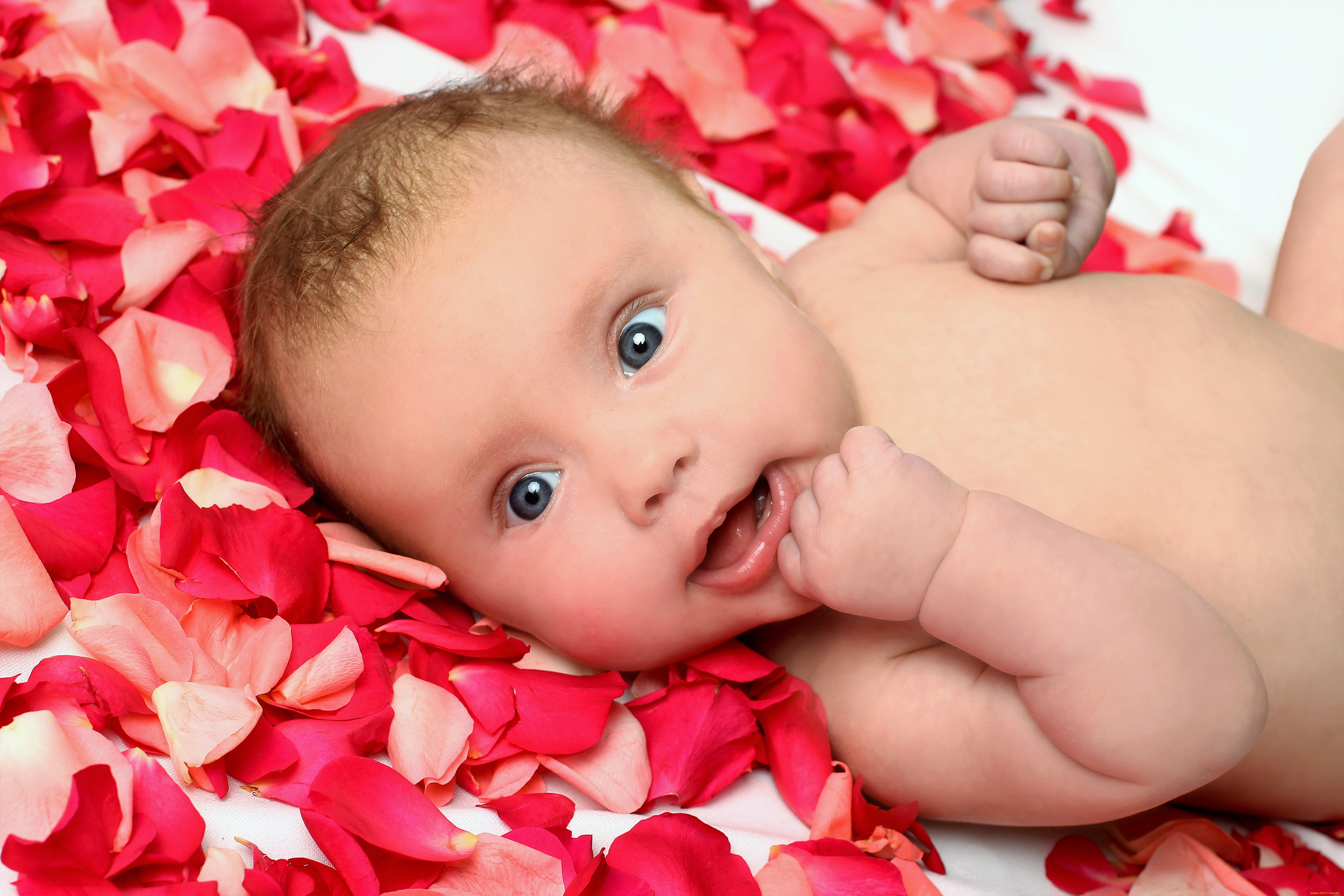 разное, дети, ребенок, лепестки