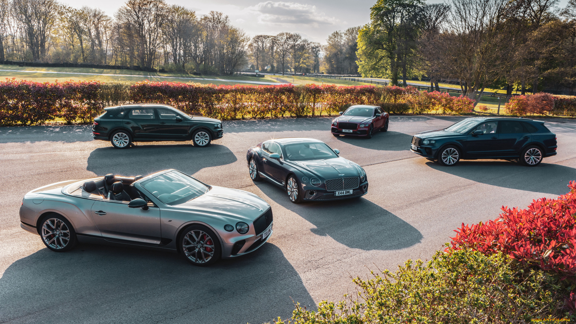 автомобили, bentley