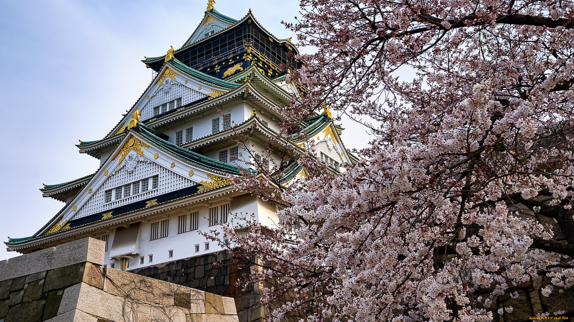 города, замки, японии, замок
