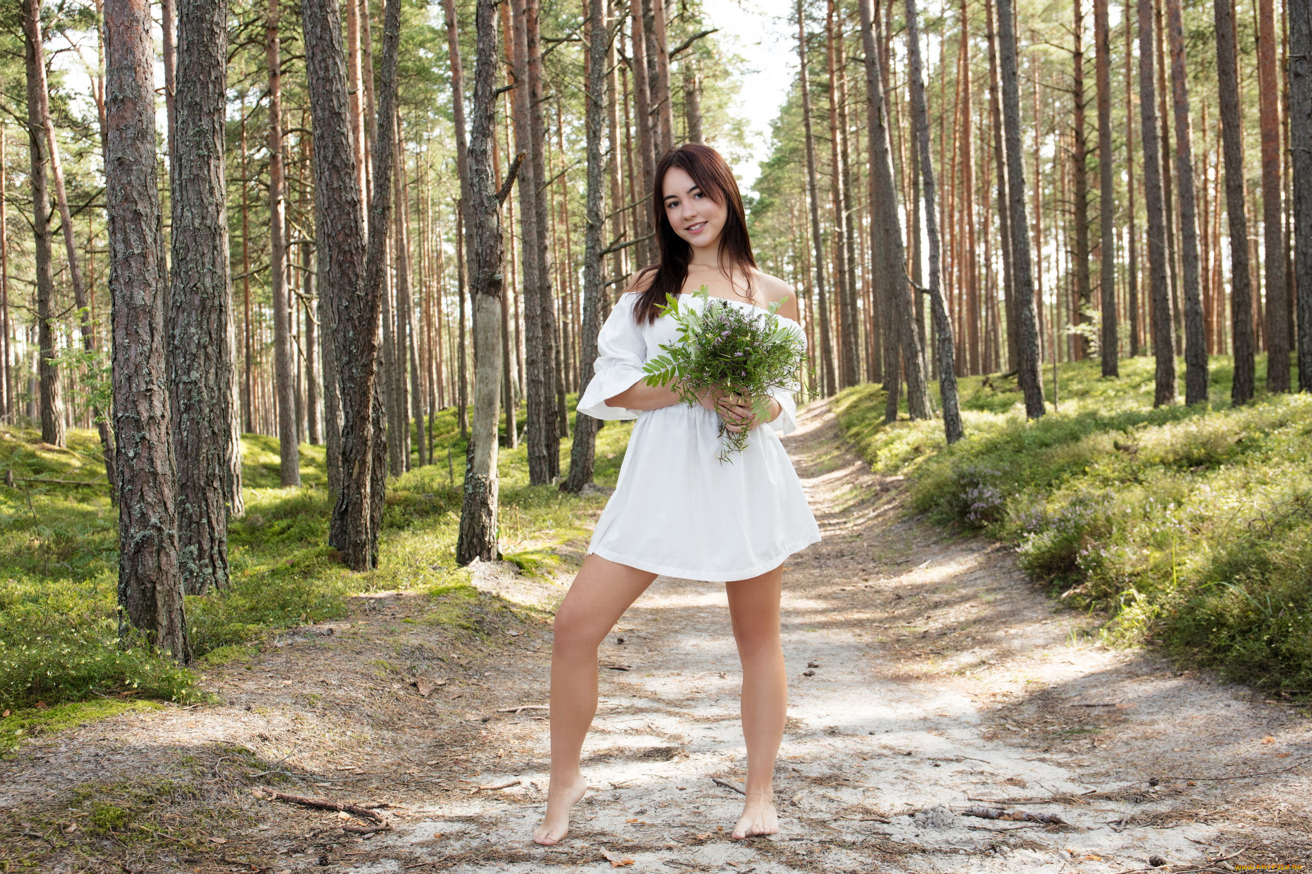 девушки, -, брюнетки, , шатенки, брюнетка, лес, букет