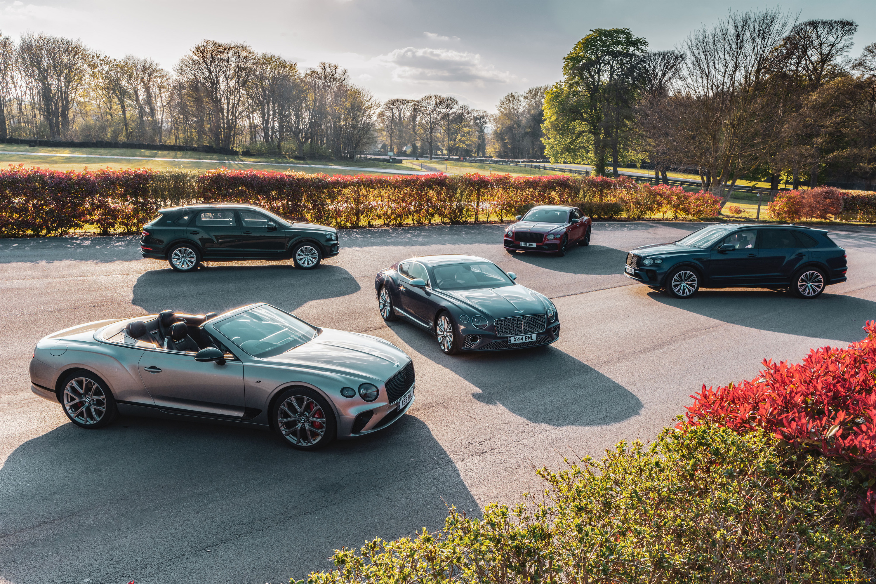 автомобили, bentley