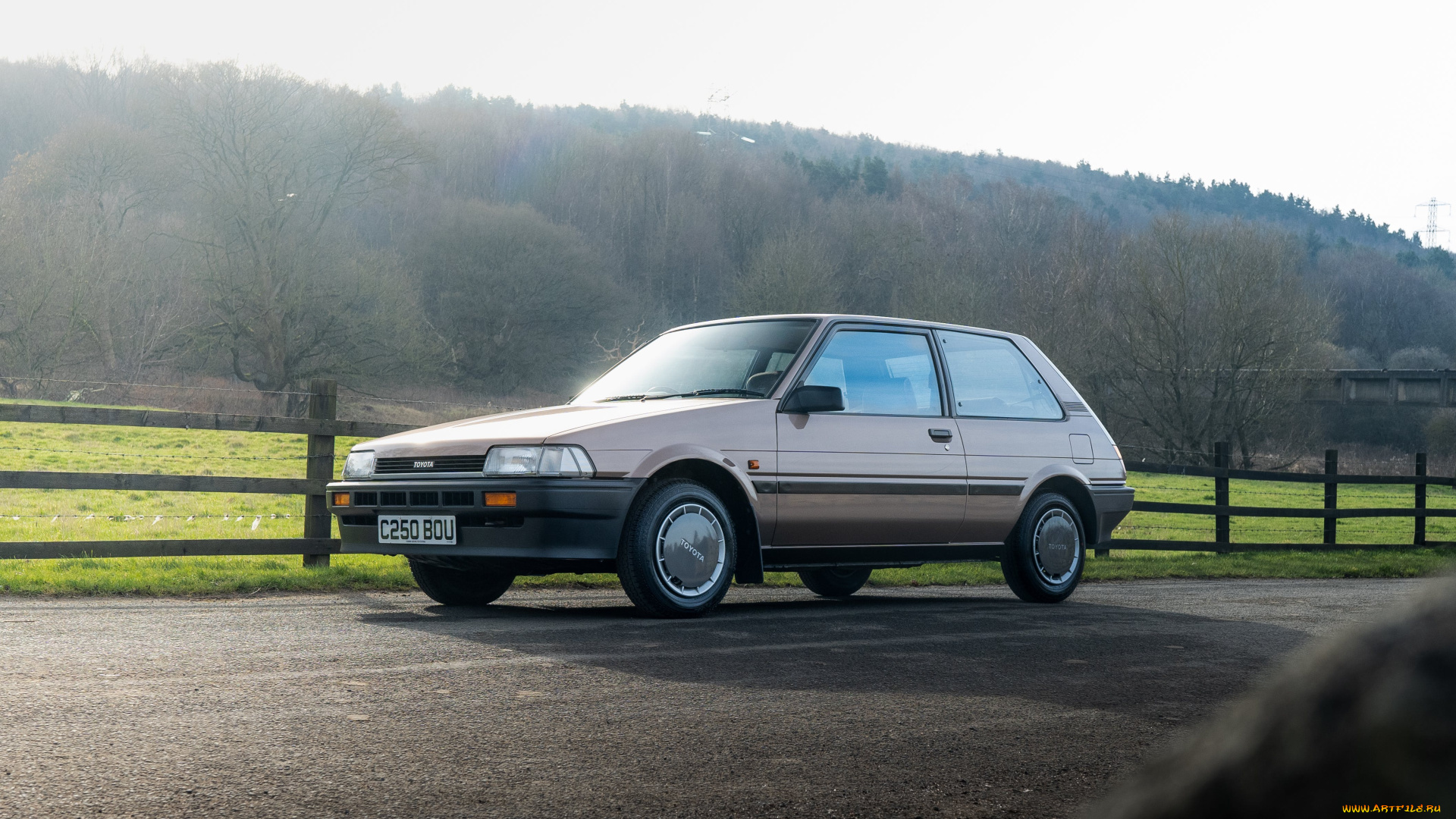 автомобили, toyota