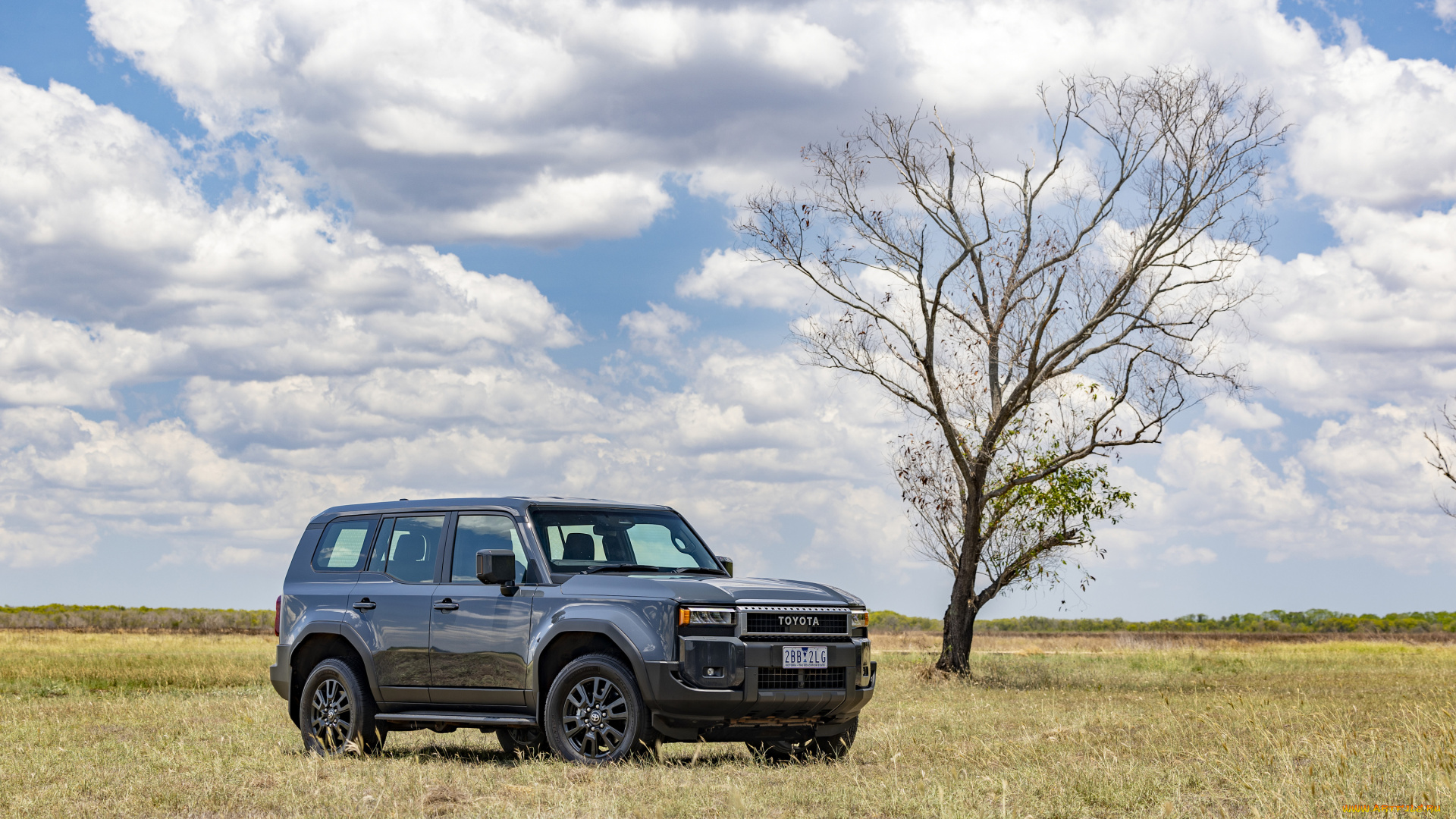 автомобили, toyota