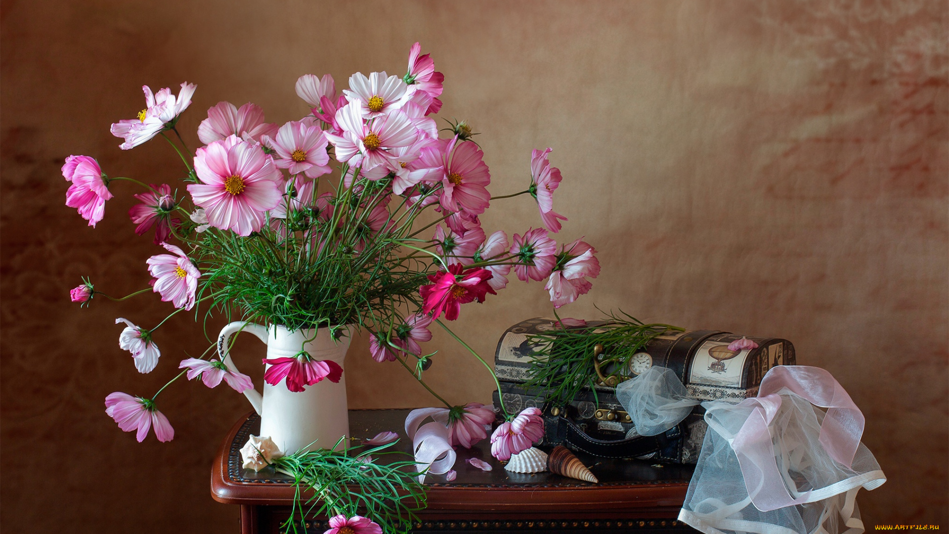цветы, космея, натюрморт