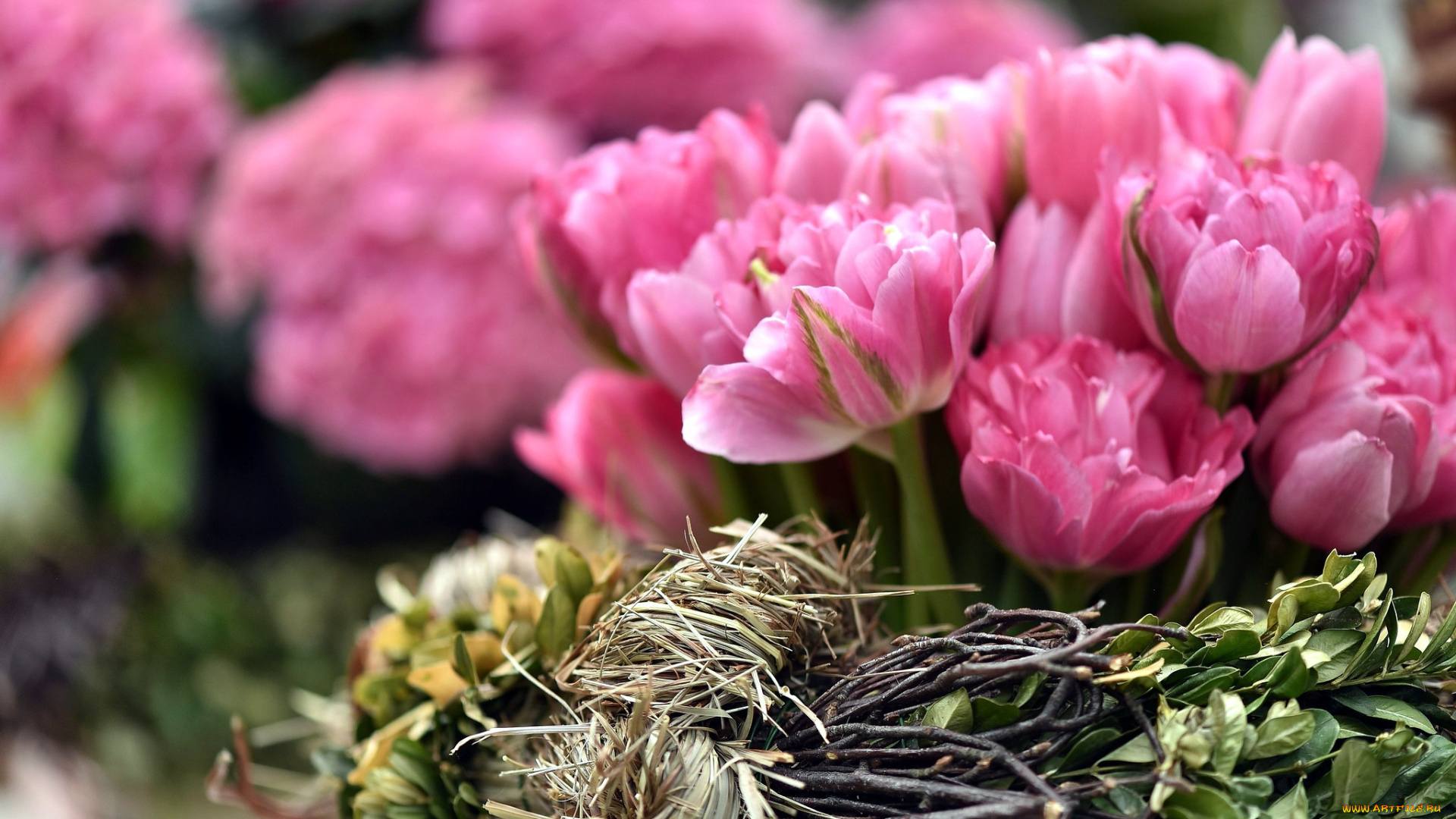 цветы, тюльпаны, розовые