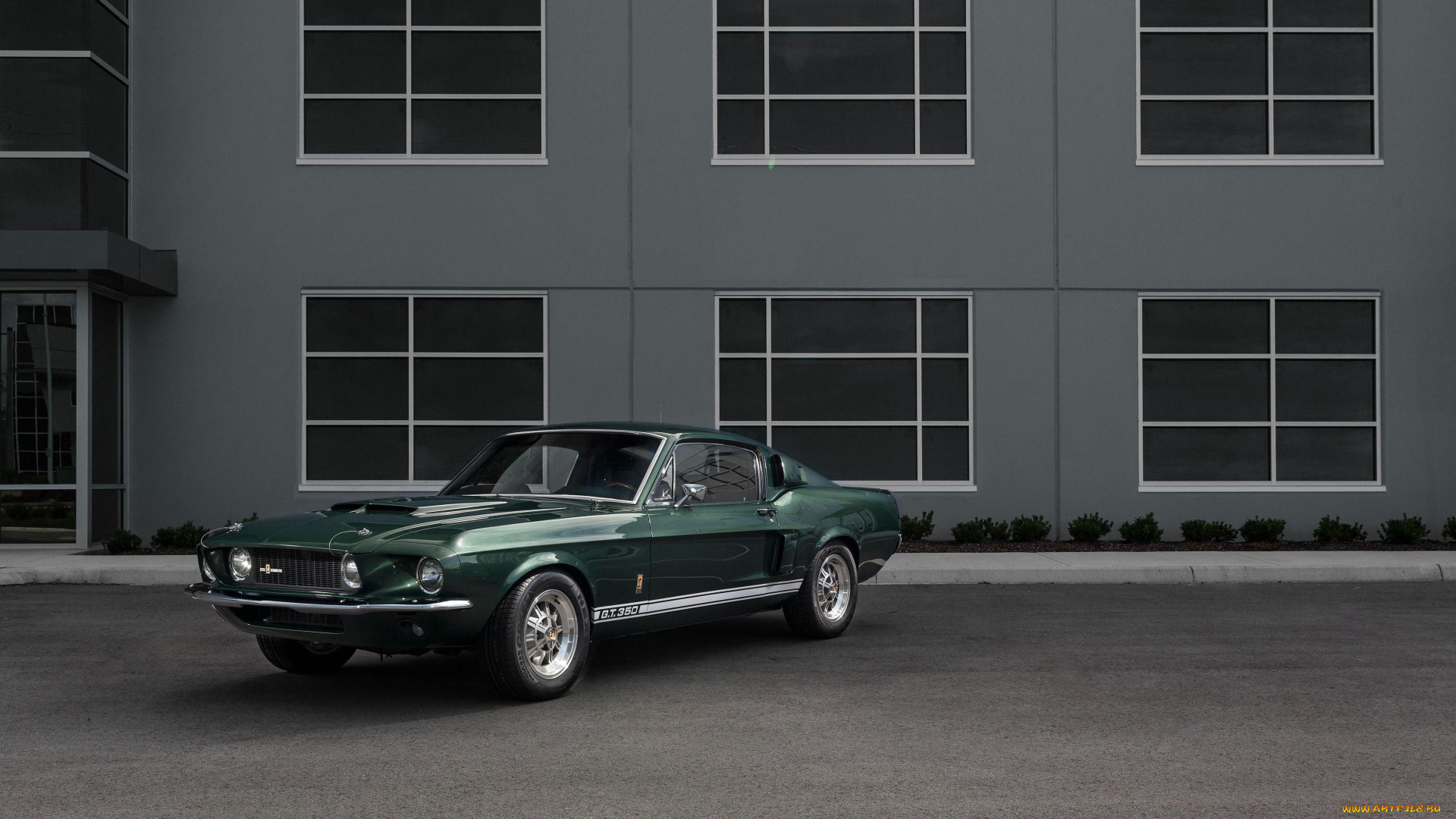 shelby, автомобили, mustang, gt350, 1967