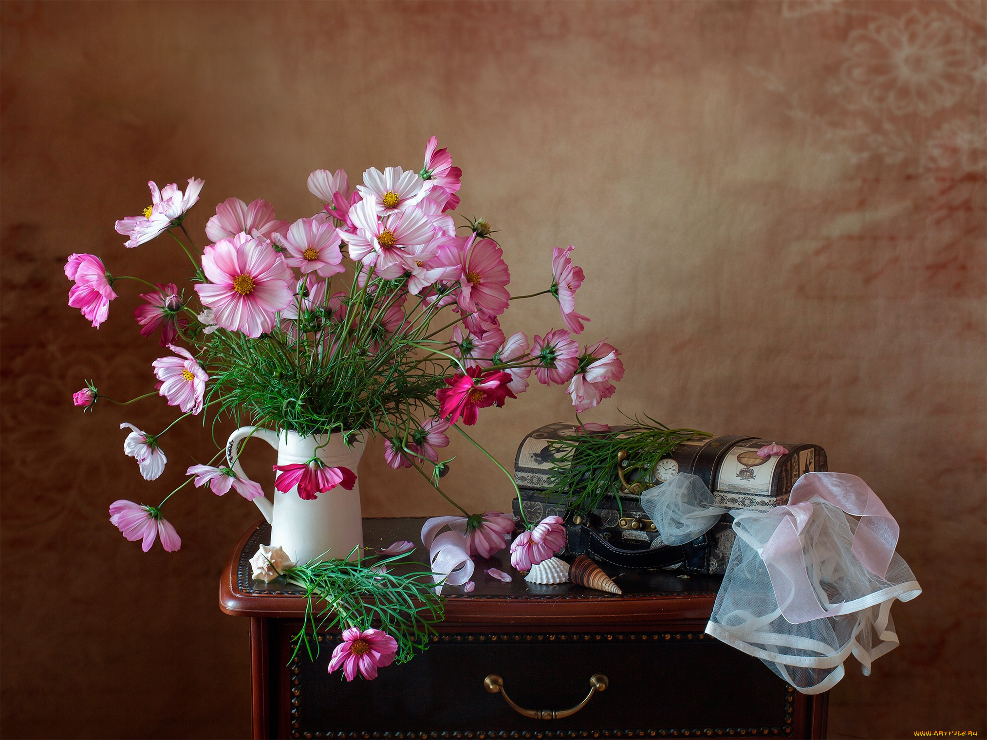 цветы, космея, натюрморт
