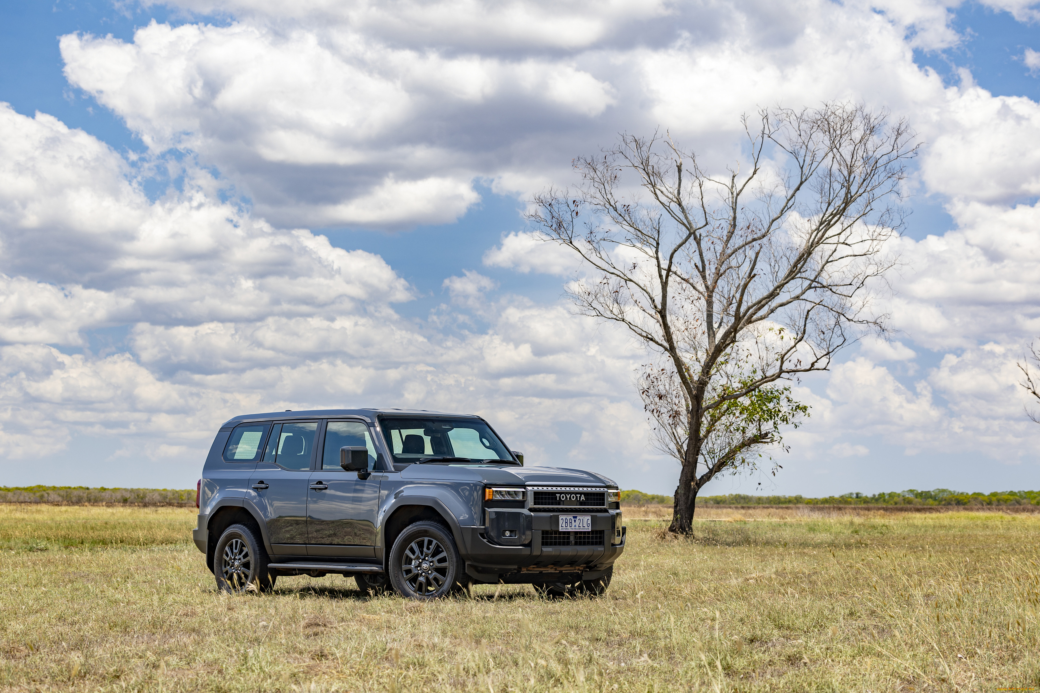 автомобили, toyota