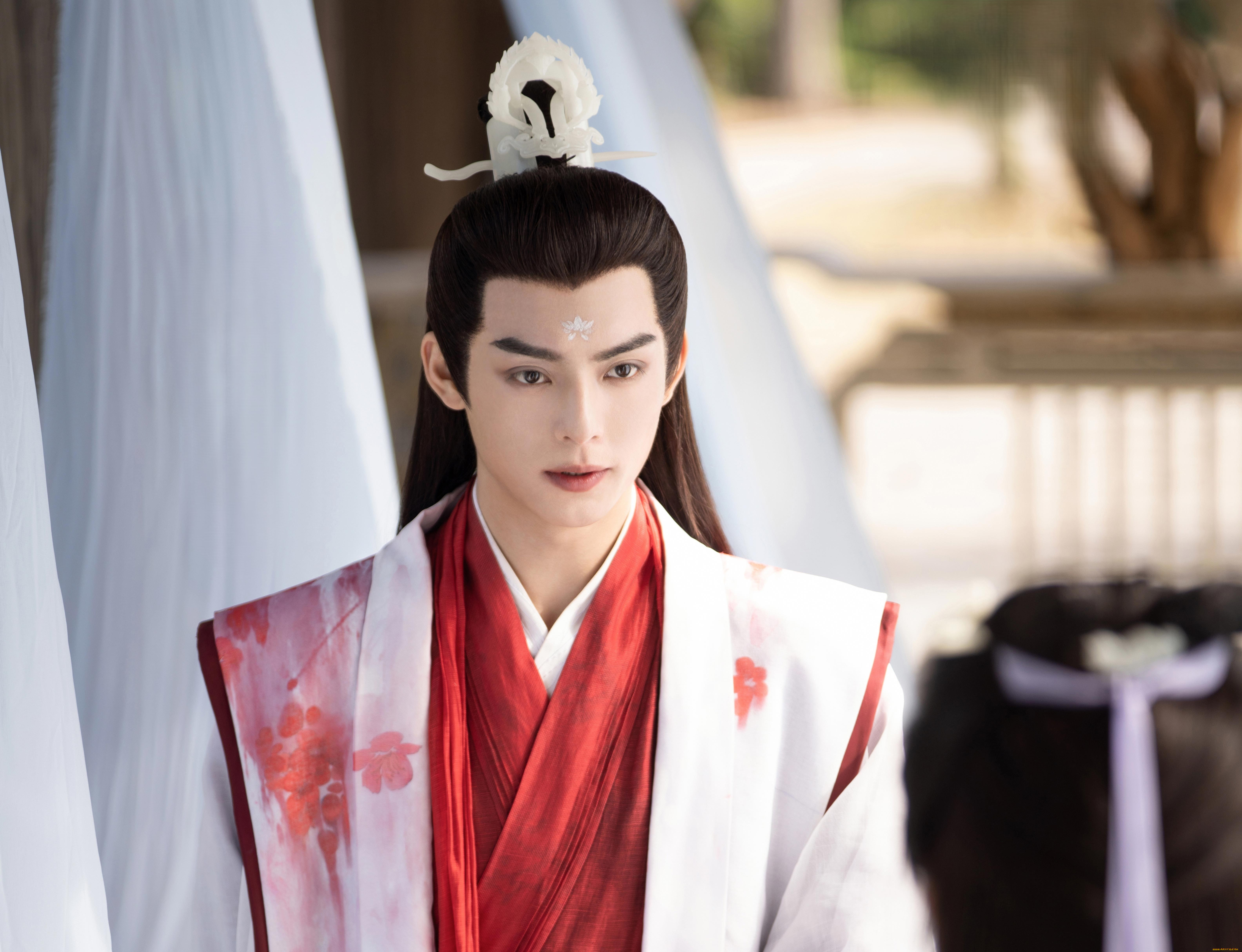 кино, фильмы, love, of, petals, ван, хао, сюань, love, of, petals