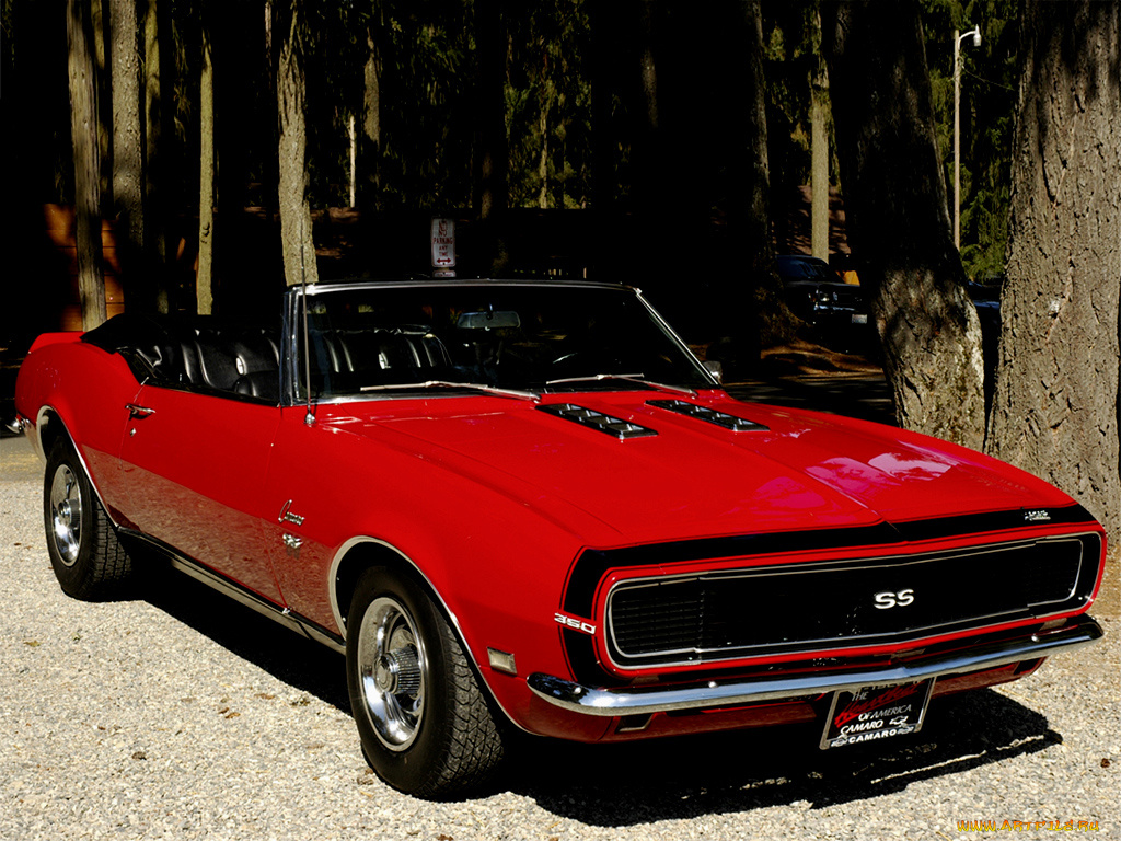 автомобили, camaro