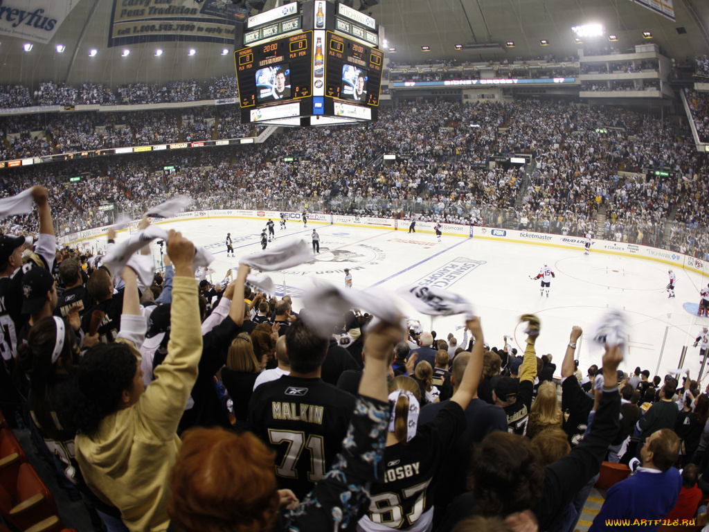 фанаты, питсбурга, спорт, nhl