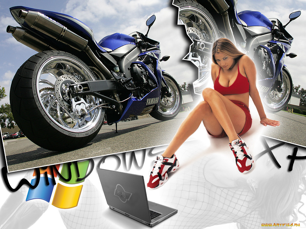 компьютеры, windows, xp