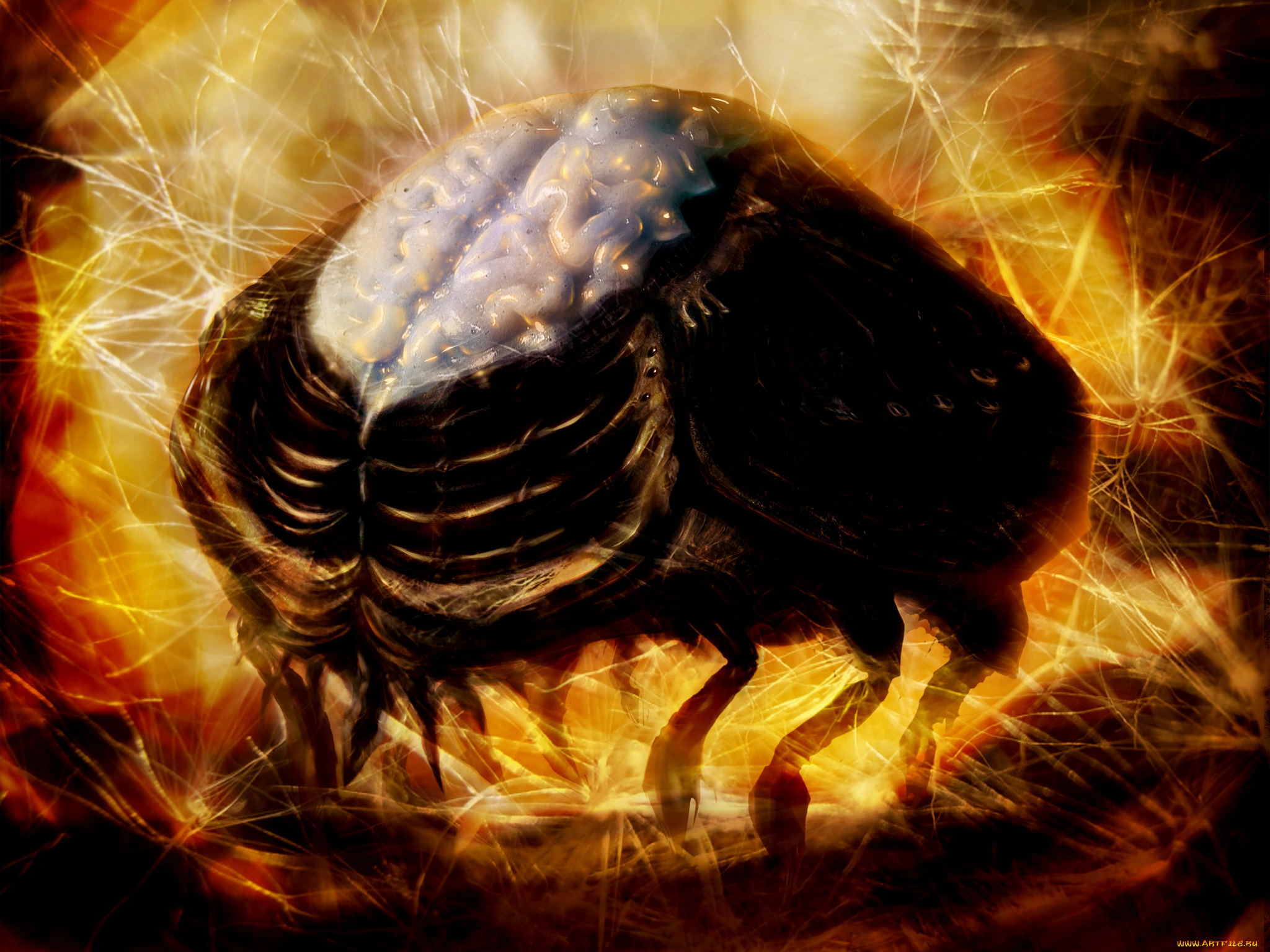 фэнтези, существа