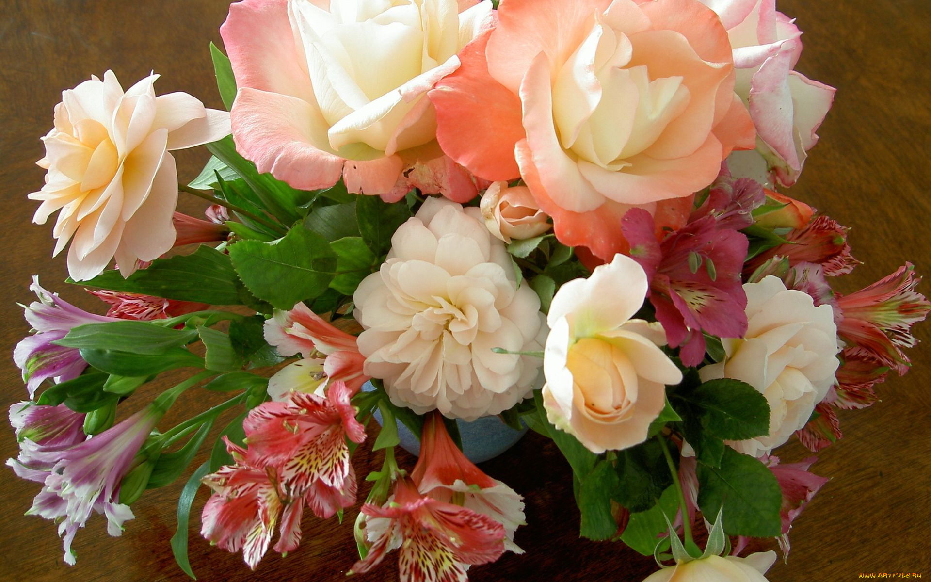 цветы, букеты, композиции