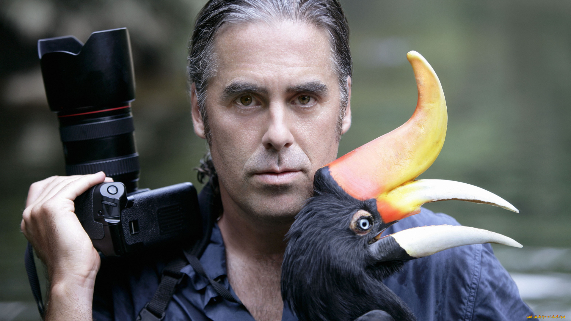 gregory, colbert, мужчины, фотограф, фотоаппарат, птица