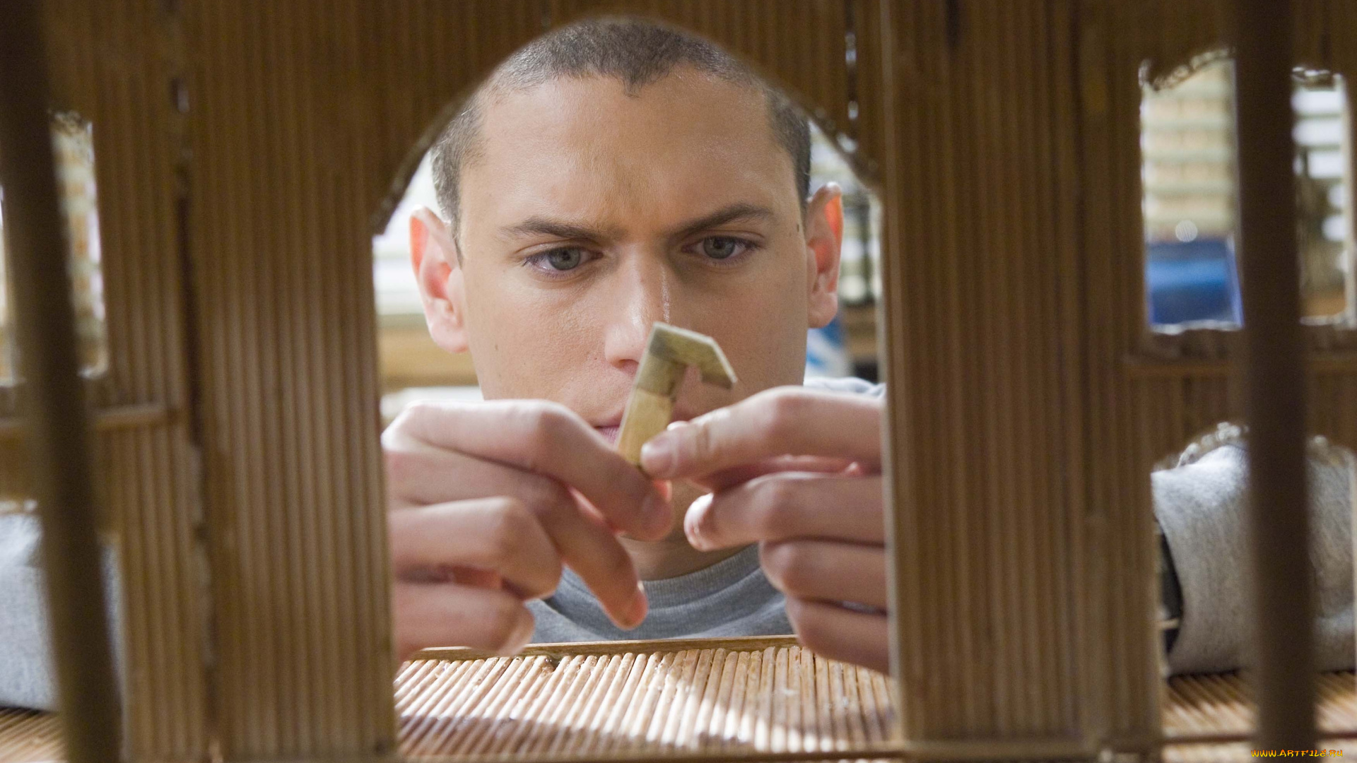 кино, фильмы, prison, break