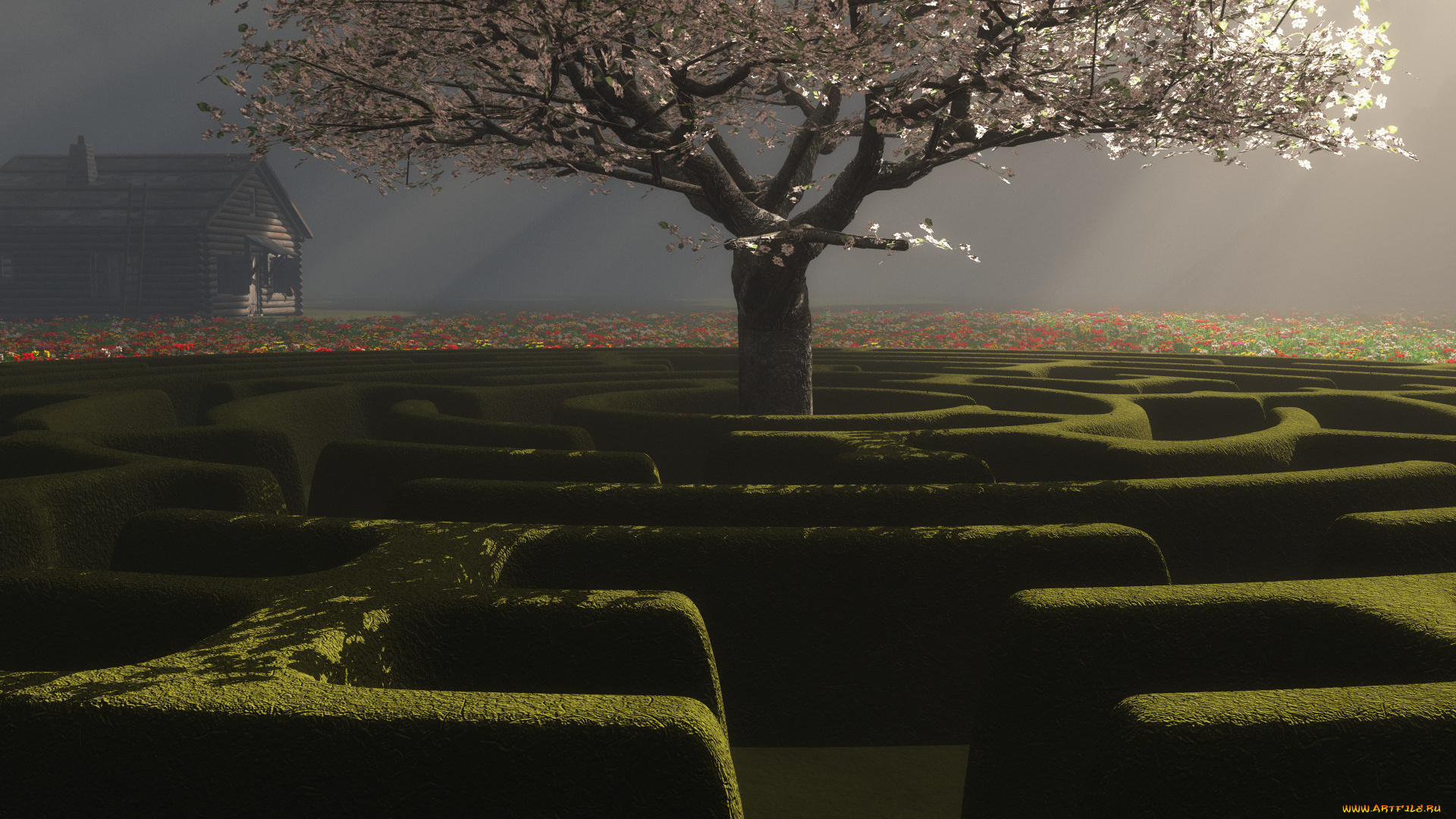 3д, графика, nature, landscape, природа, дерево, лабиринт