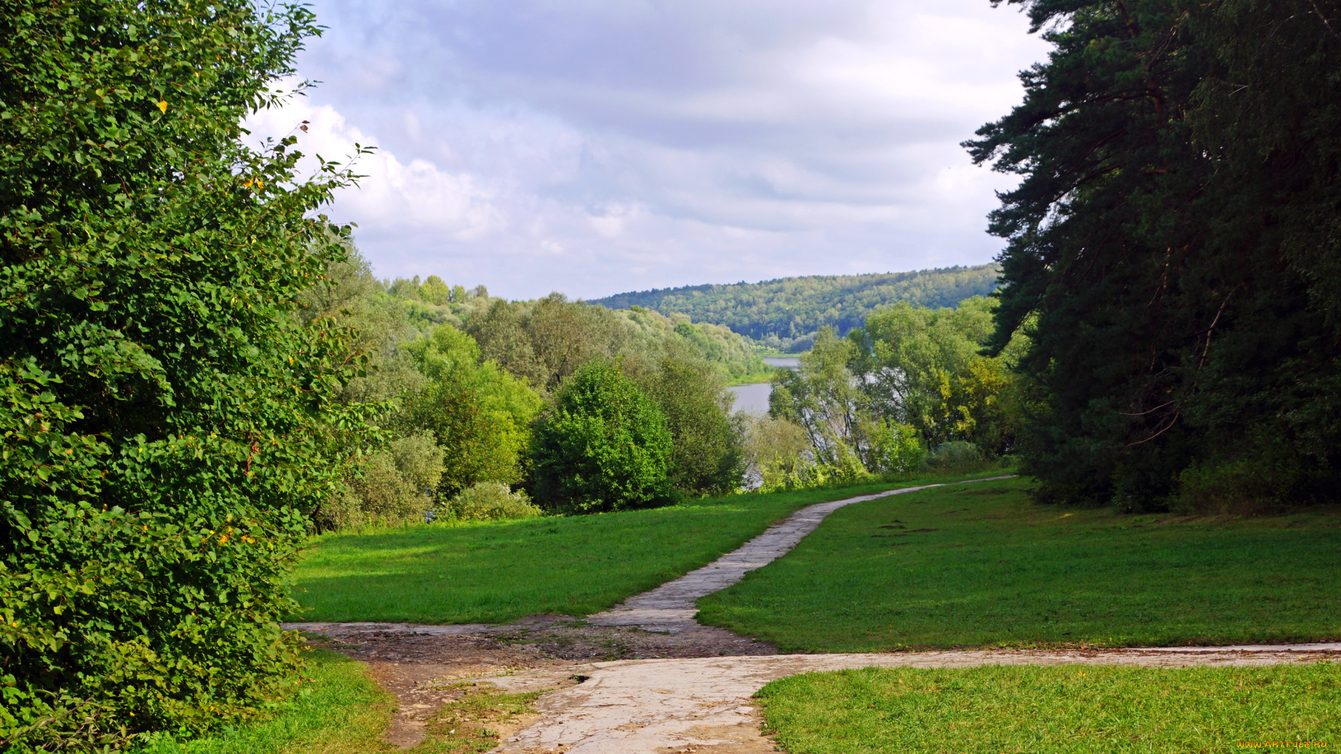 калужская, область, поленово, природа, дороги, лес, тропинка
