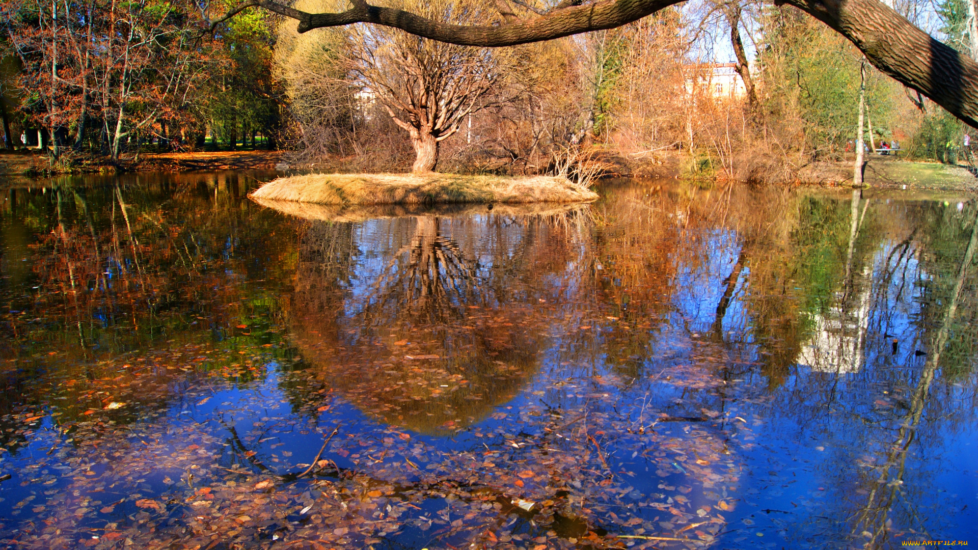 природа, парк, екатеринбург