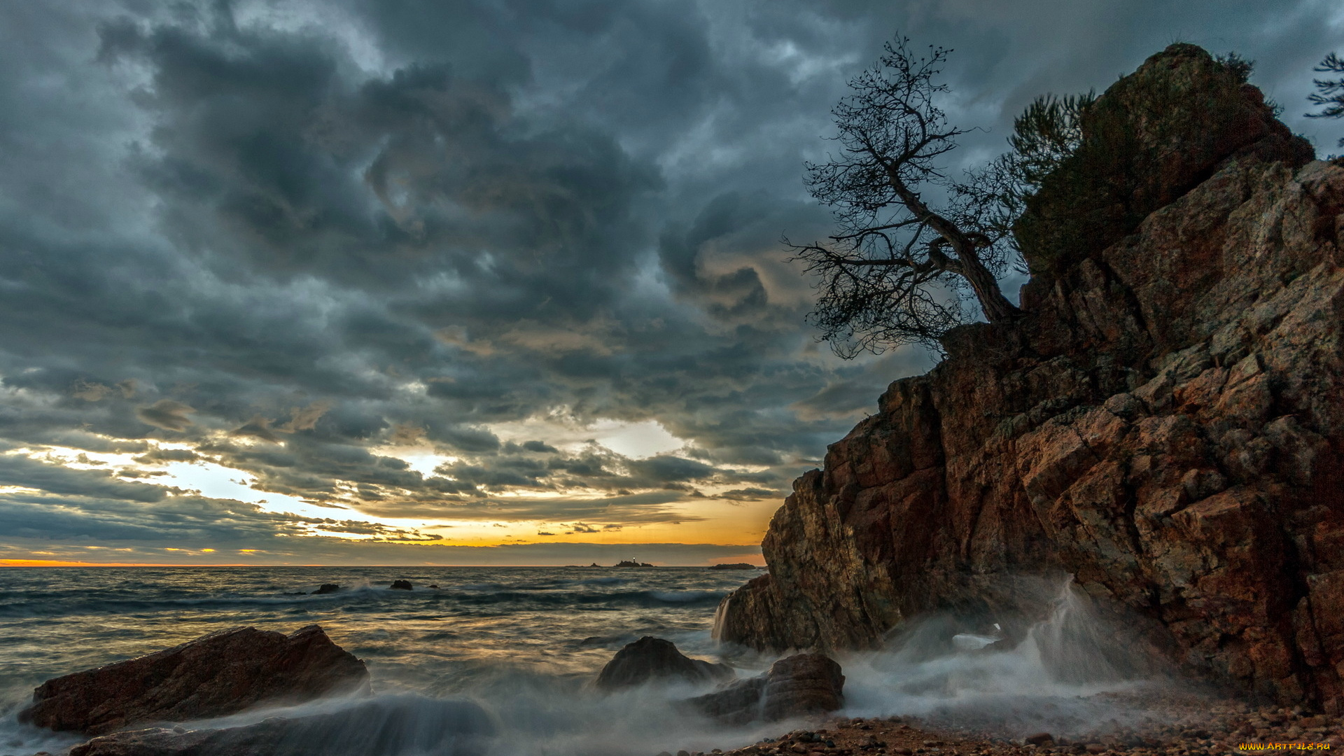 природа, побережье, тучи, океан, волны, дерево, скала