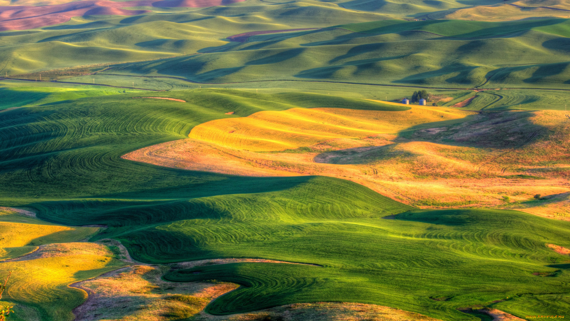 природа, поля, сша, штат, вашингтон, ландшафт