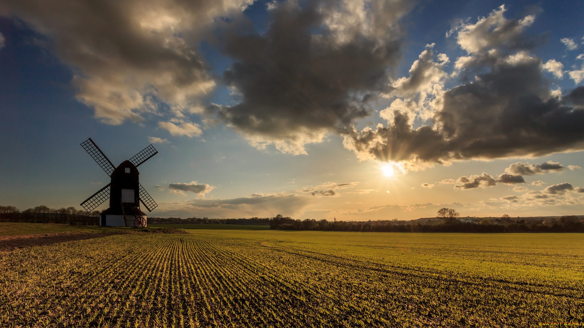 природа, поля, закат, мельница