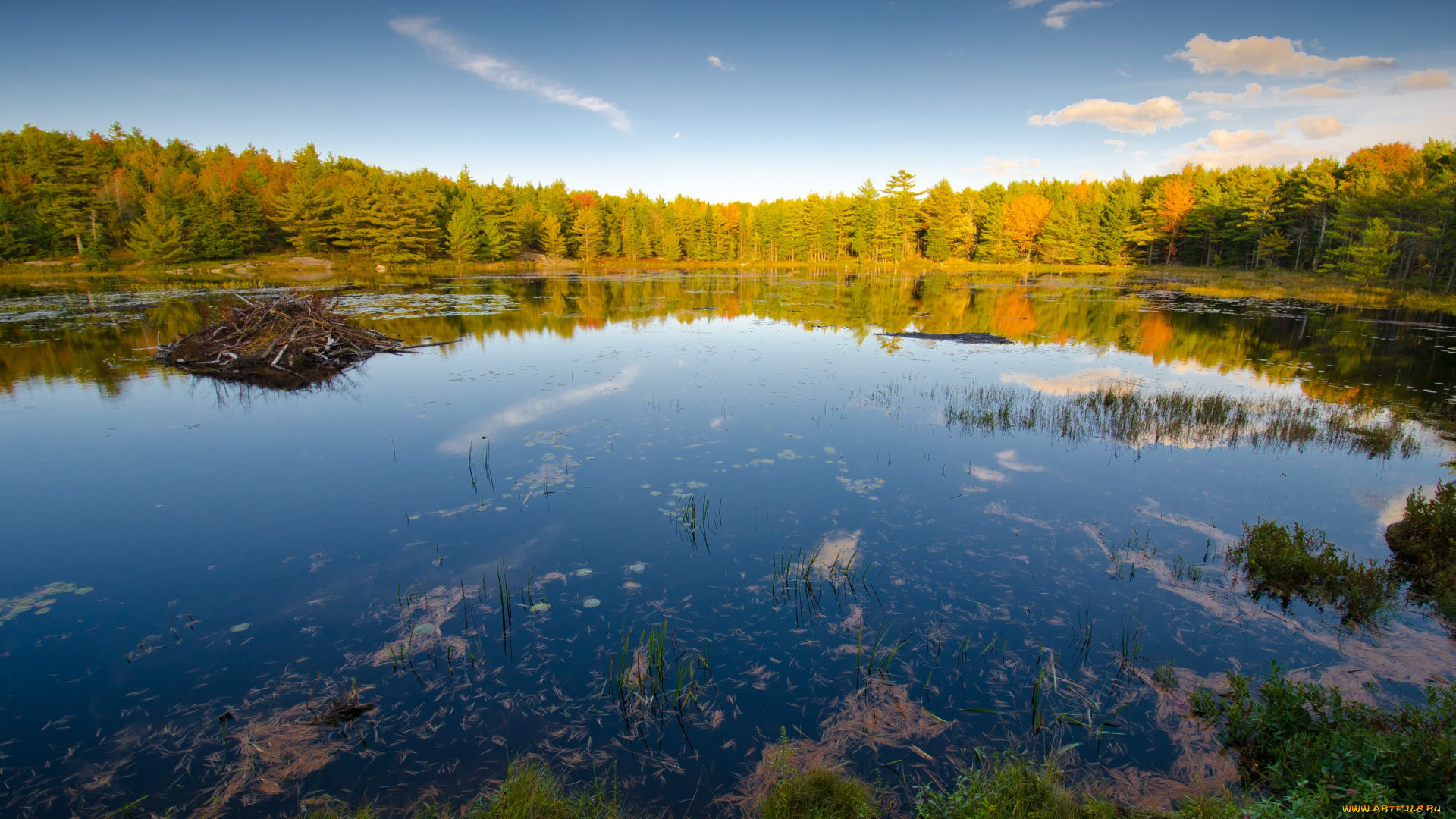 природа, реки, озера, сша, америка