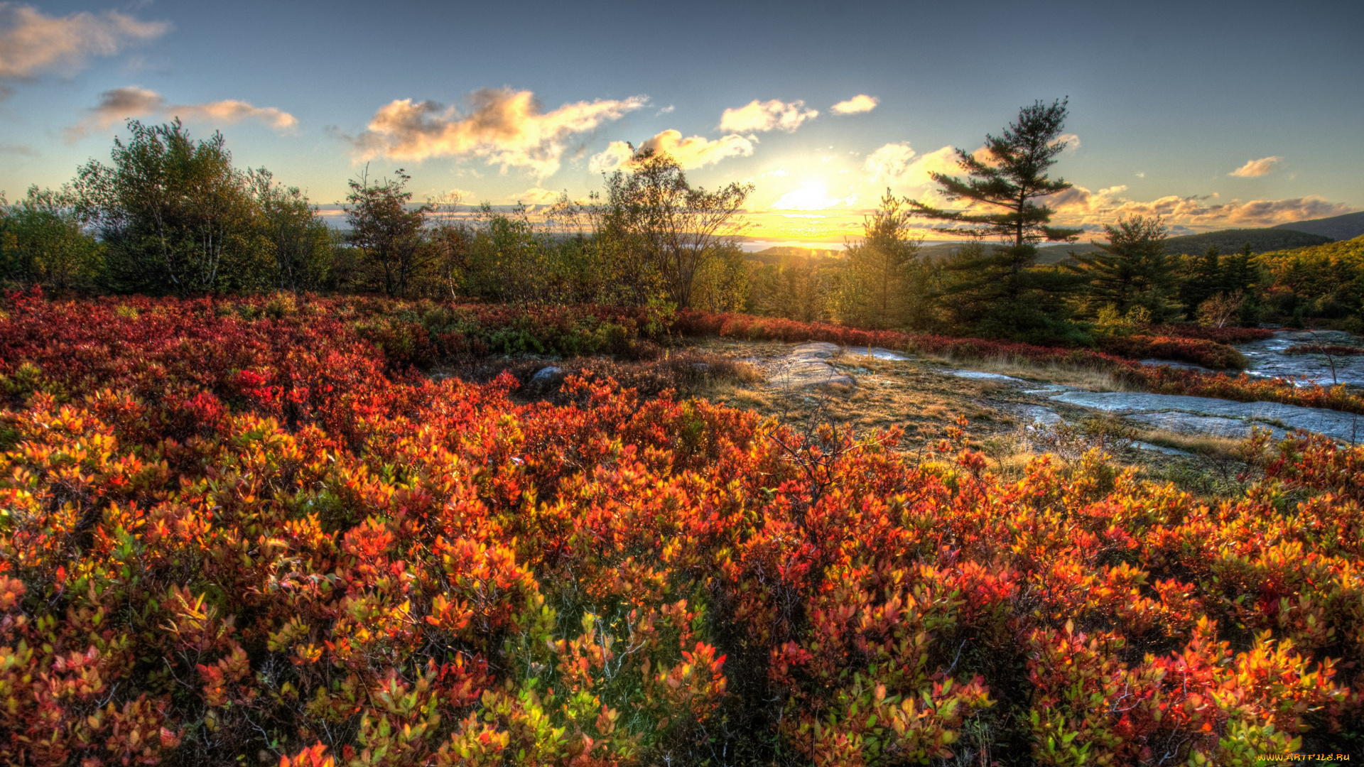 природа, восходы, закаты, соединённые, штаты, америка