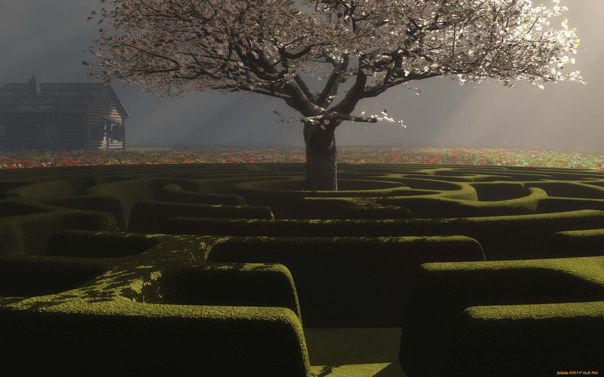 3д, графика, nature, landscape, природа, дерево, лабиринт