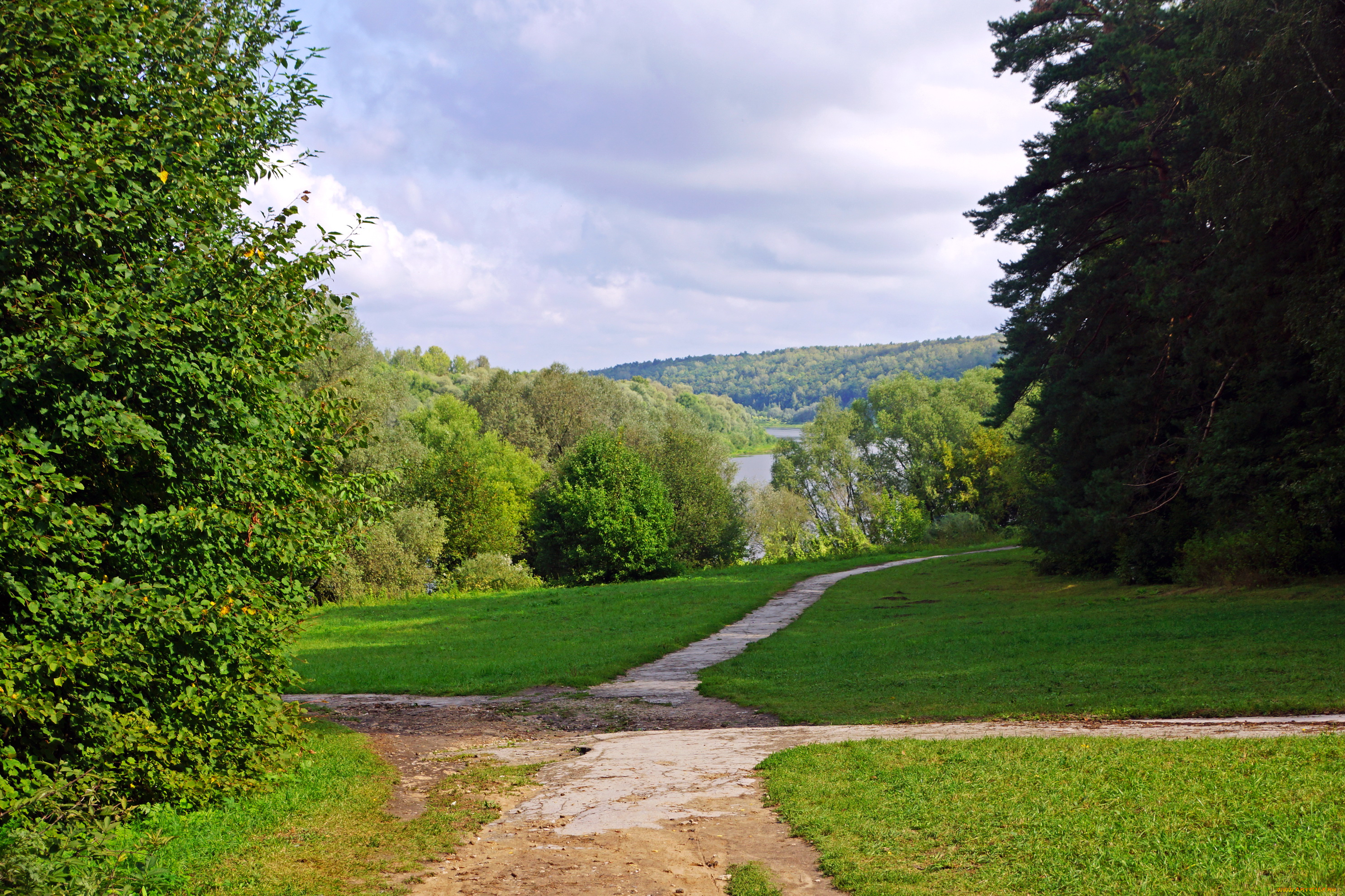 калужская, область, поленово, природа, дороги, лес, тропинка