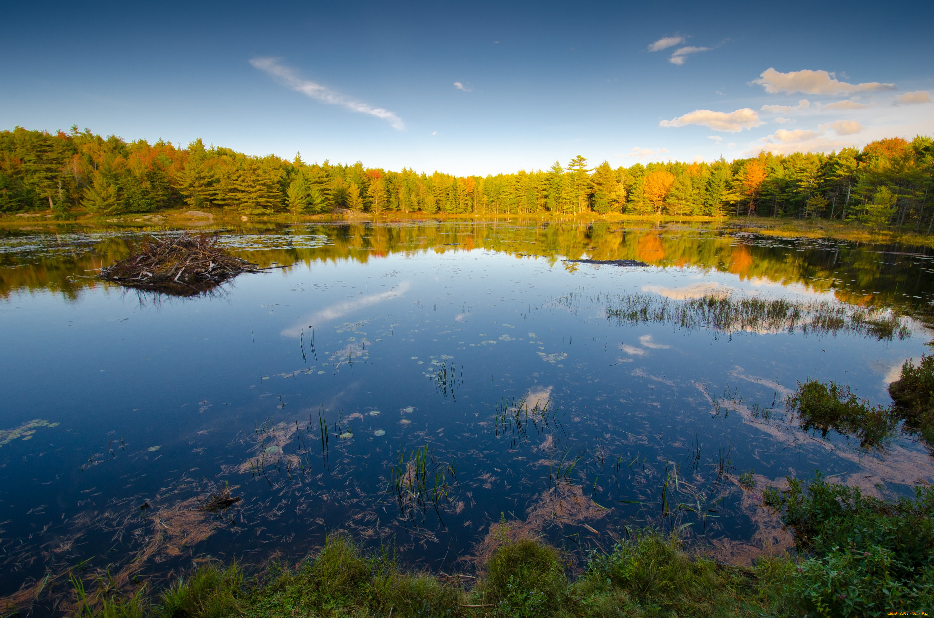 природа, реки, озера, сша, америка