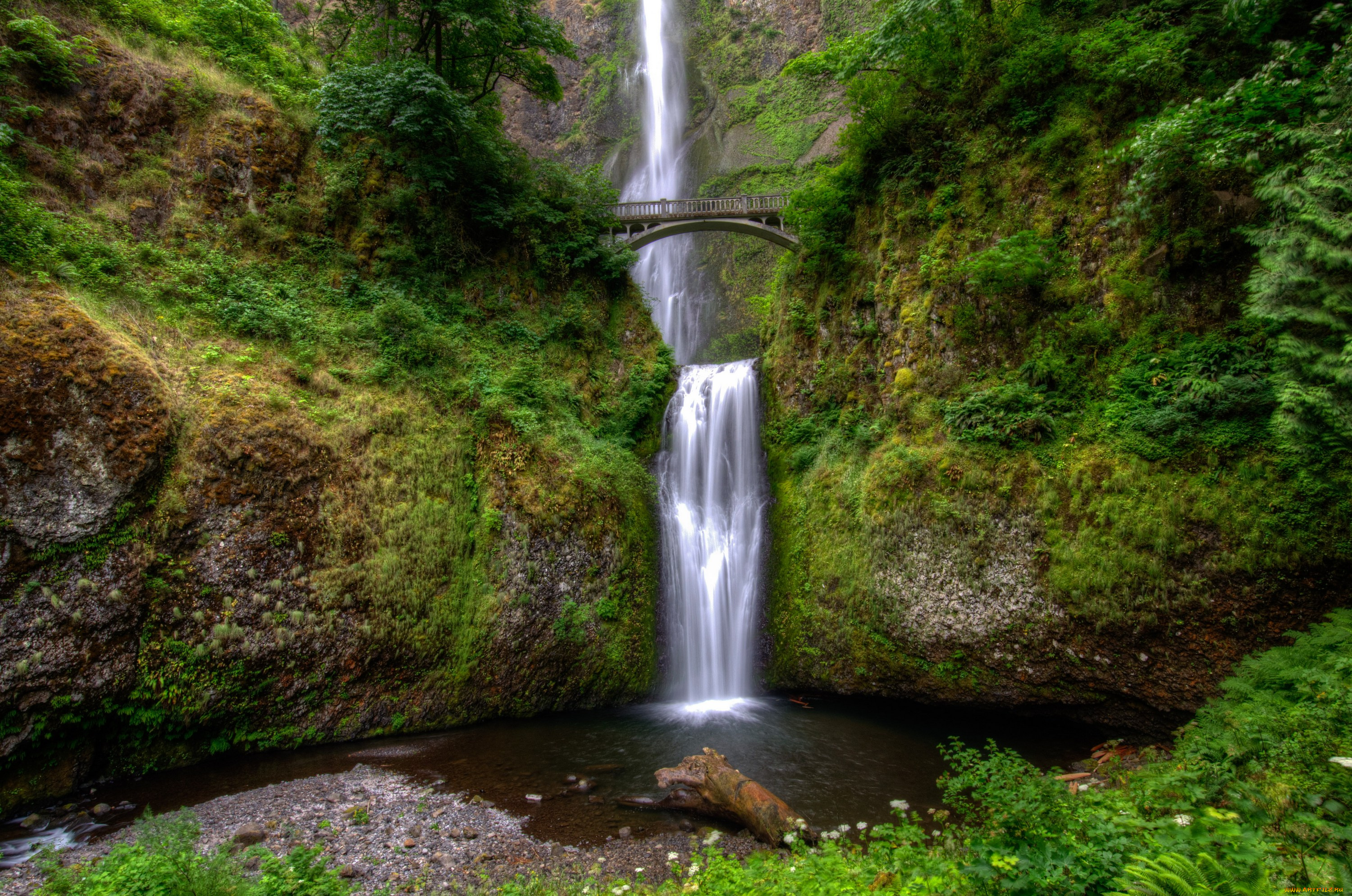 природа, водопады, сша, орегон