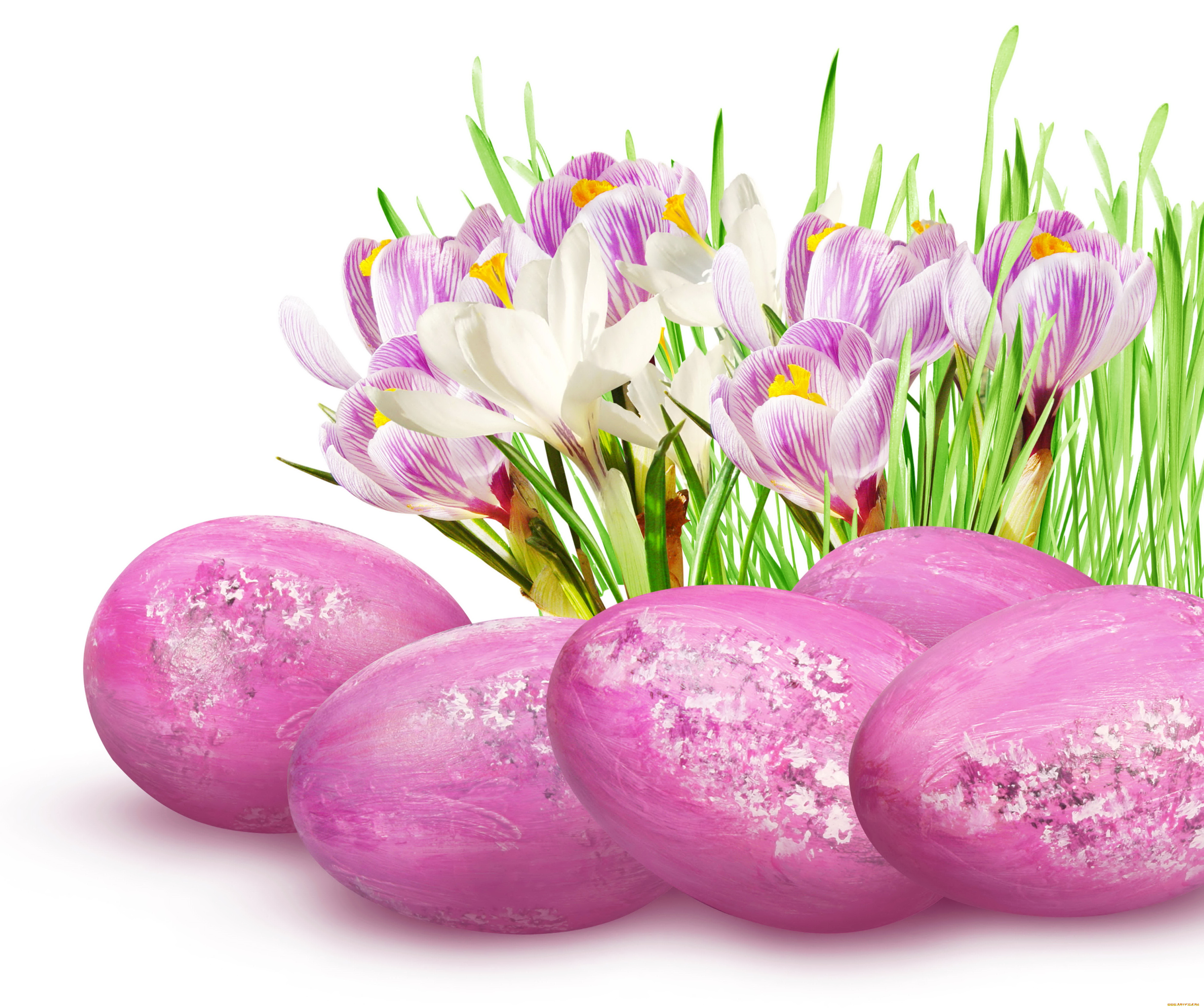 праздничные, пасха, яйца