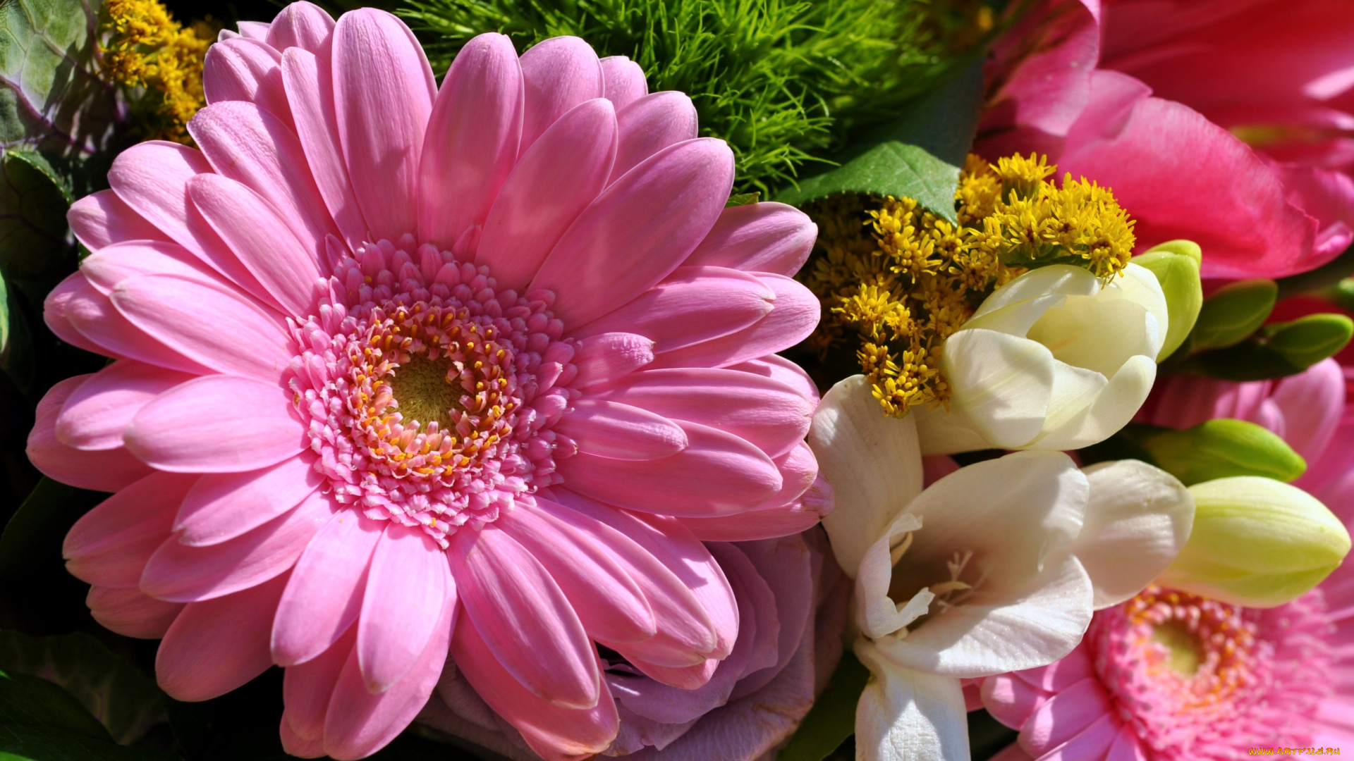 цветы, разные, вместе, тюльпаны, фрезия, гербера