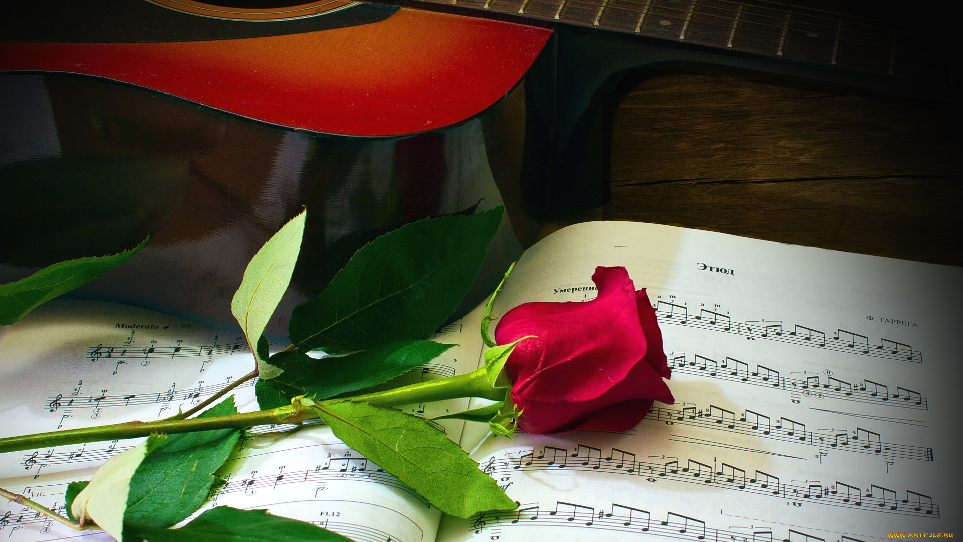 цветы, розы, бутон, ноты