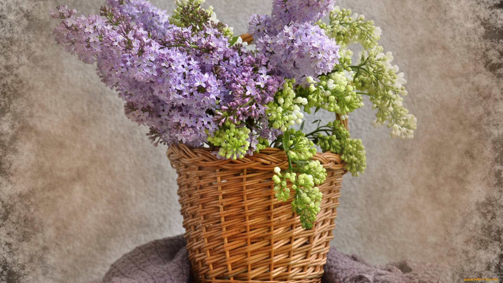 цветы, сирень, корзина