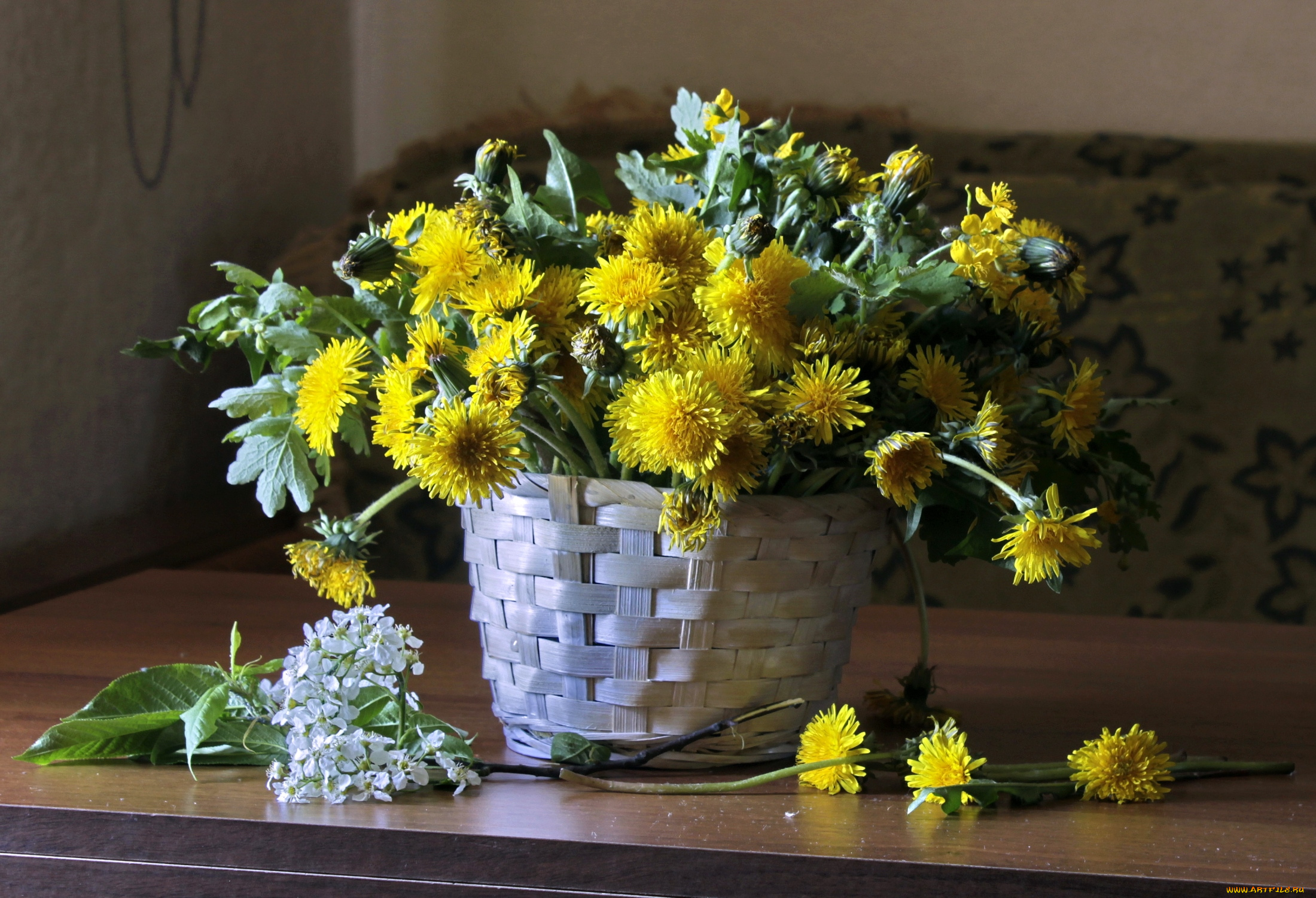 цветы, одуванчики, корзинка
