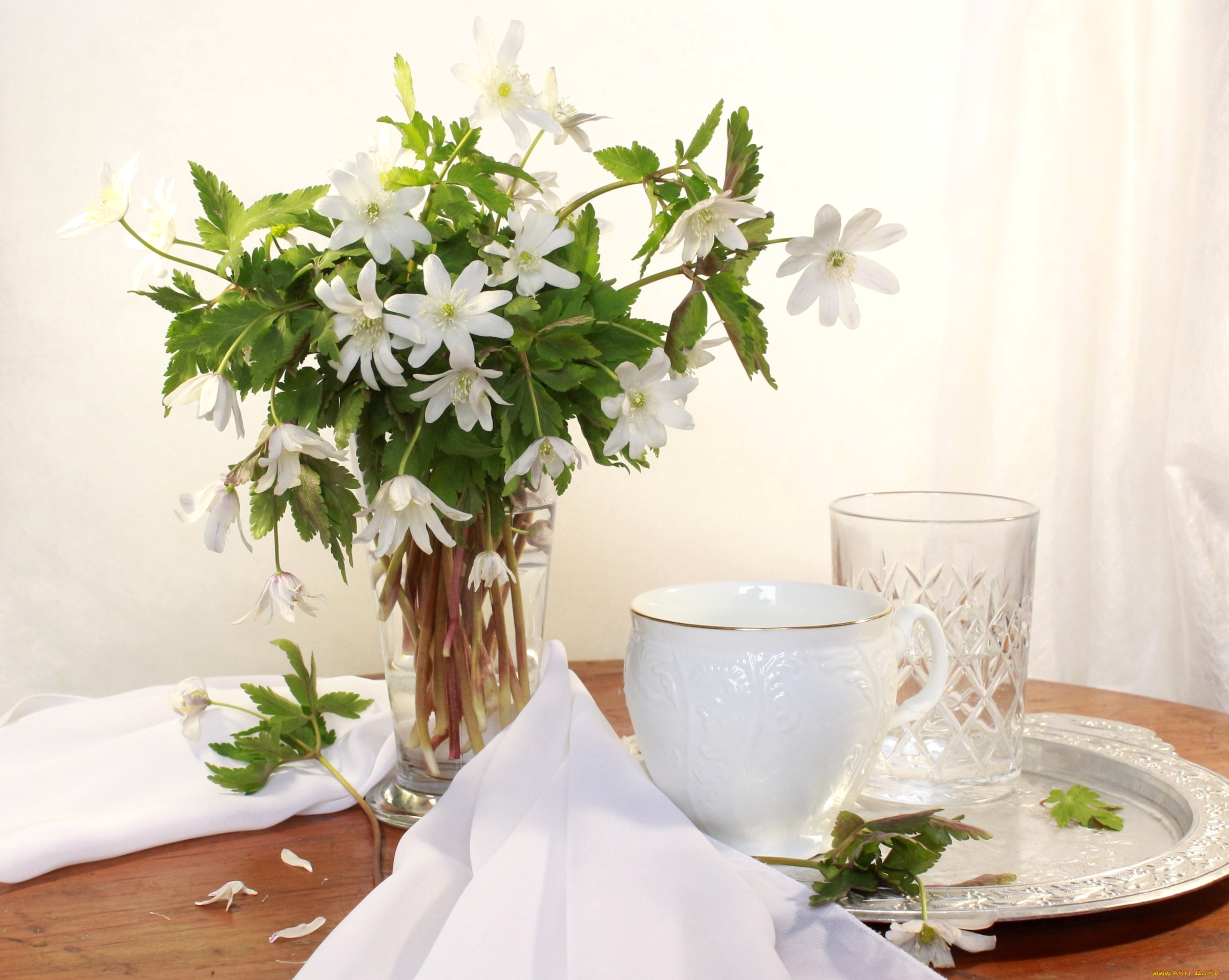 цветы, ветреницы, , печёночницы, букет