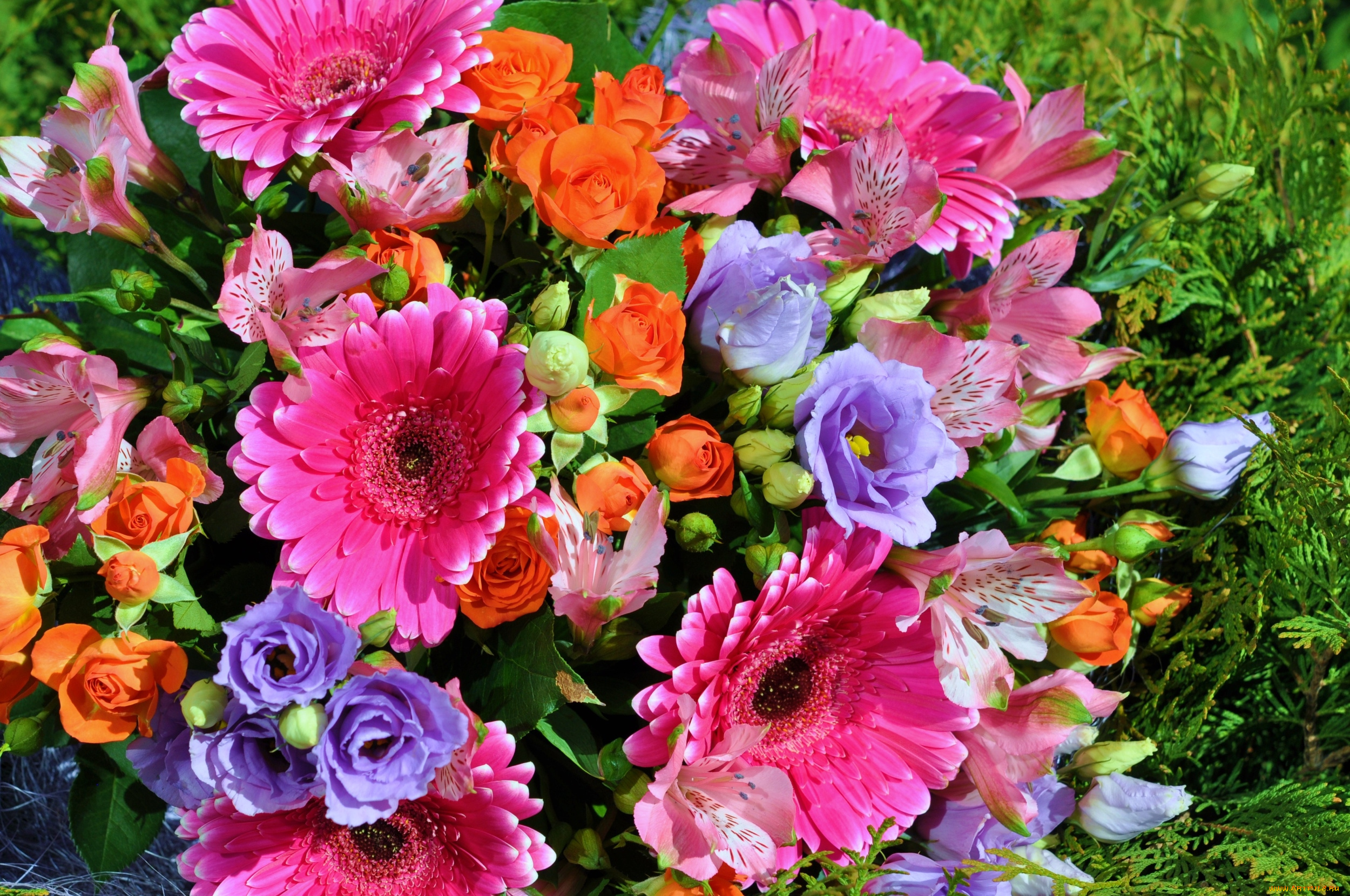 цветы, букеты, , композиции, эустома, розы, герберы