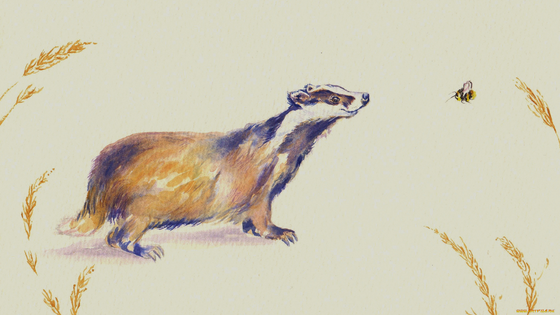 рисованное, животные, акварель, мордашка, пчёлка, барсук