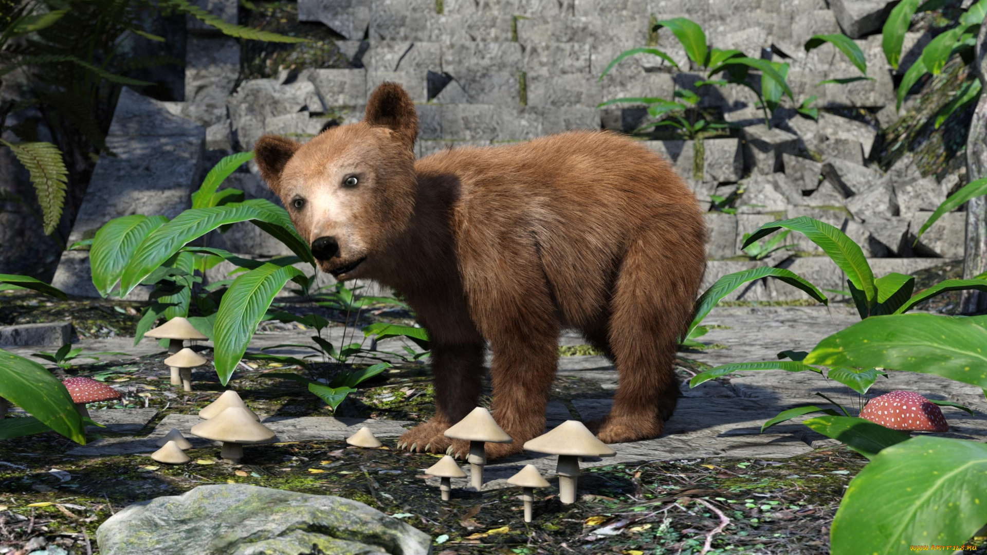 3д, графика, животные, , animals, медвежонок