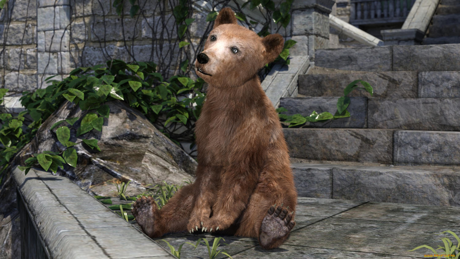 3д, графика, животные, , animals, медвежонок