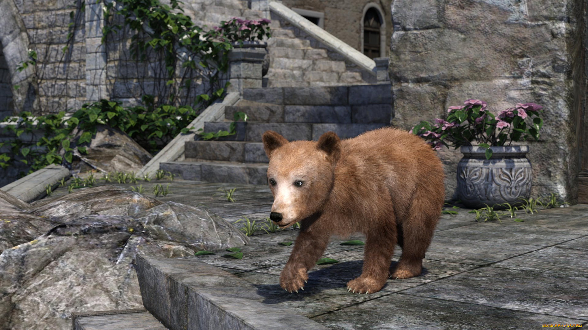 3д, графика, животные, , animals, медвежонок