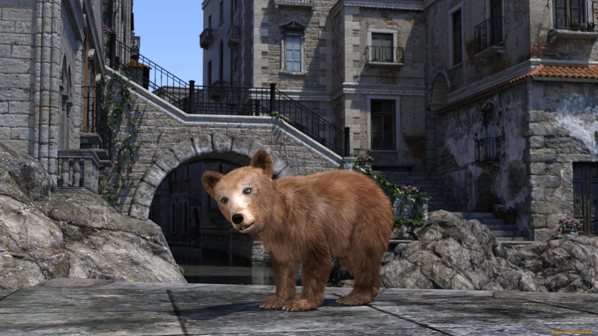 3д, графика, животные, , animals, медвежонок