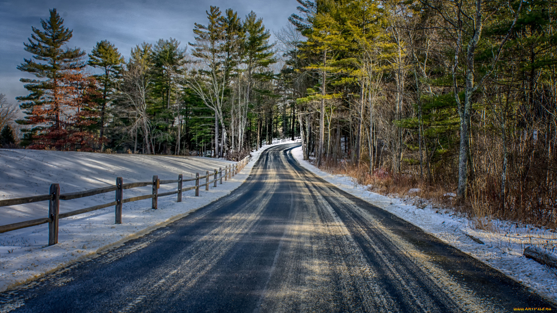 природа, дороги, лес, шоссе