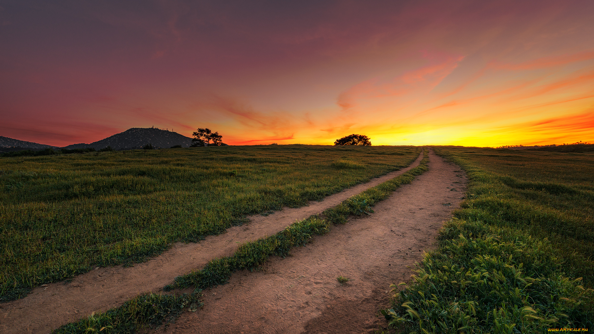 природа, дороги, рассвет